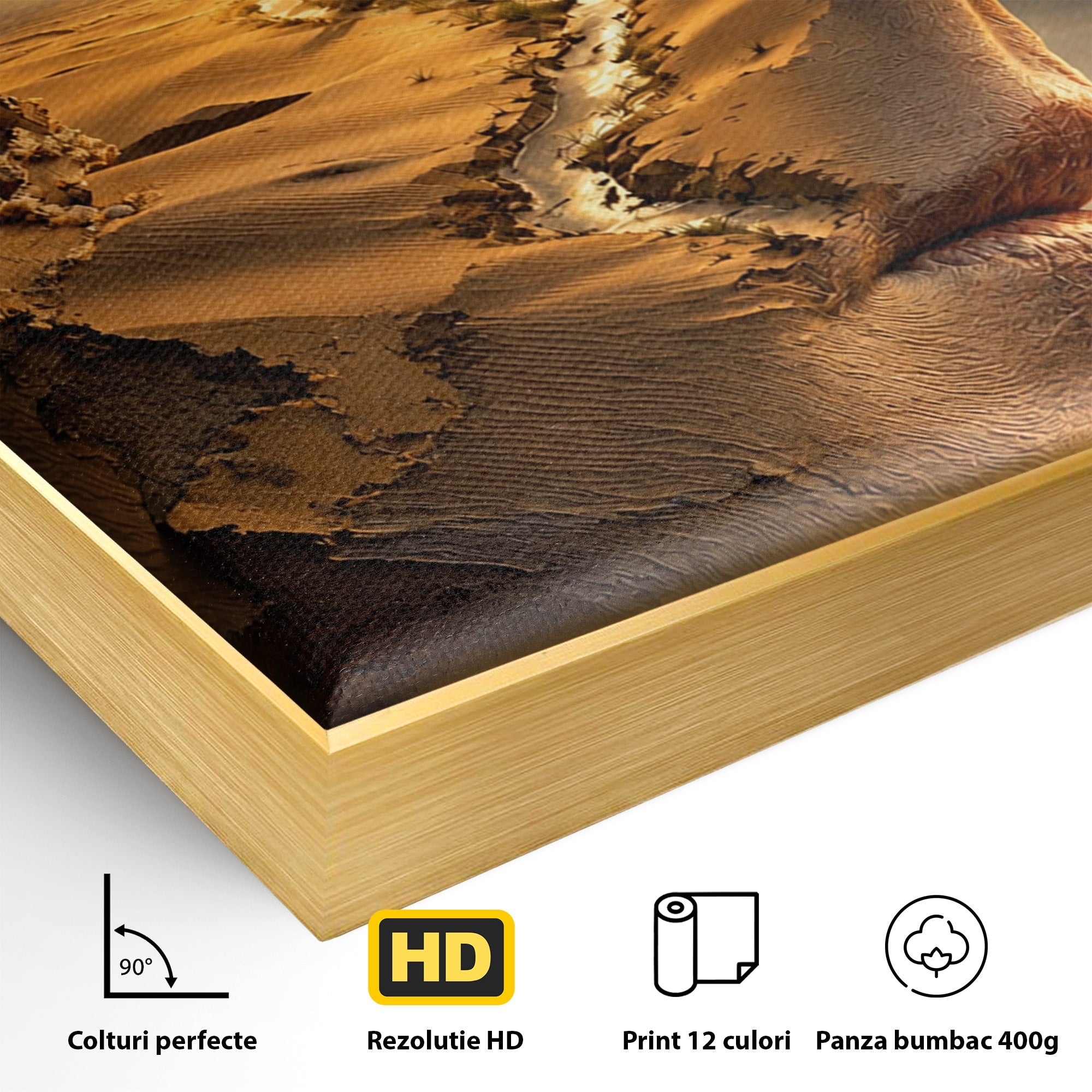 Tablou Canvas Premium LuxCanva® U1007, Chip In Desert, Chip, Desert, Apus, Living, Peisaj, Culori Vibrante