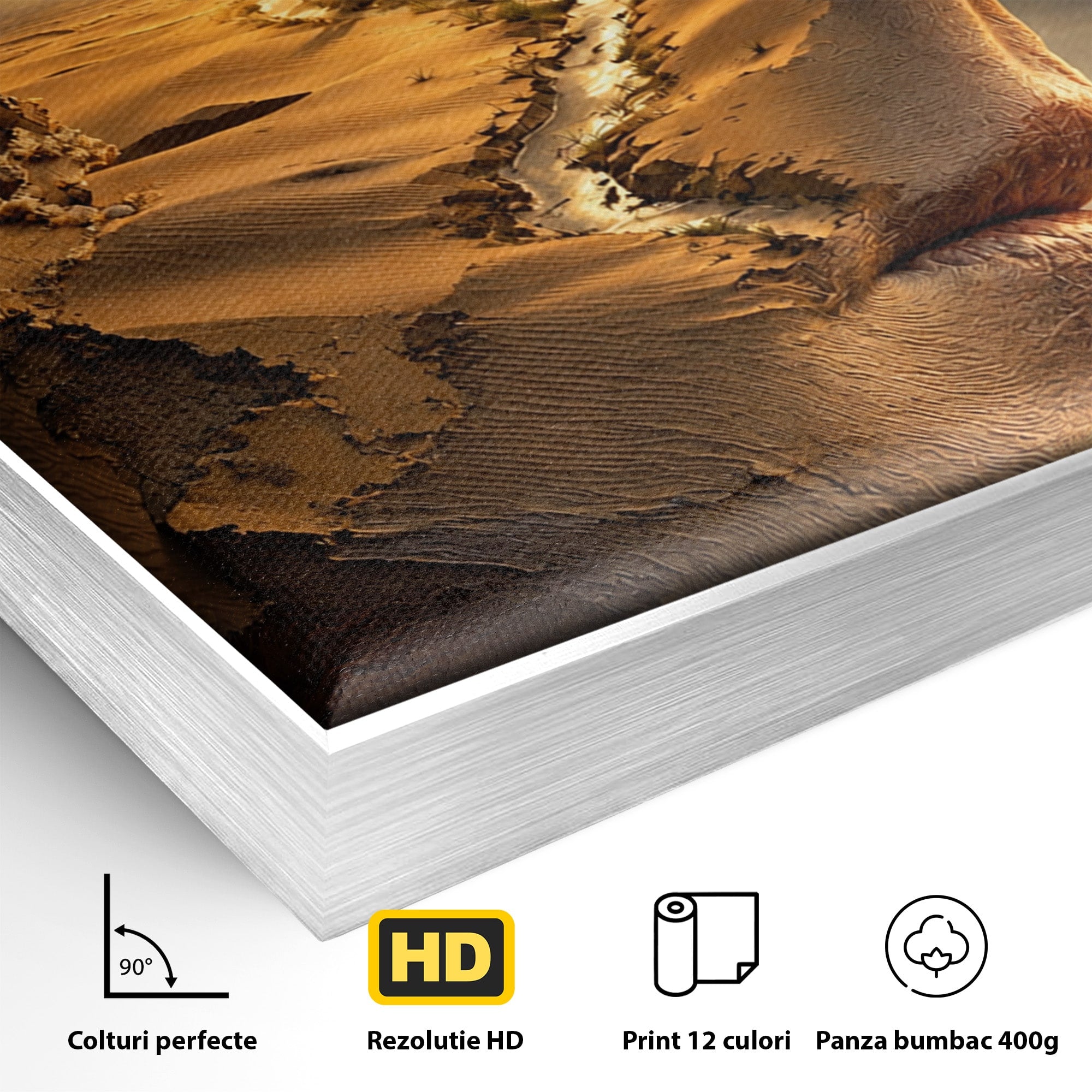 Tablou Canvas Premium LuxCanva® U1007, Chip In Desert, Chip, Desert, Apus, Living, Peisaj, Culori Vibrante
