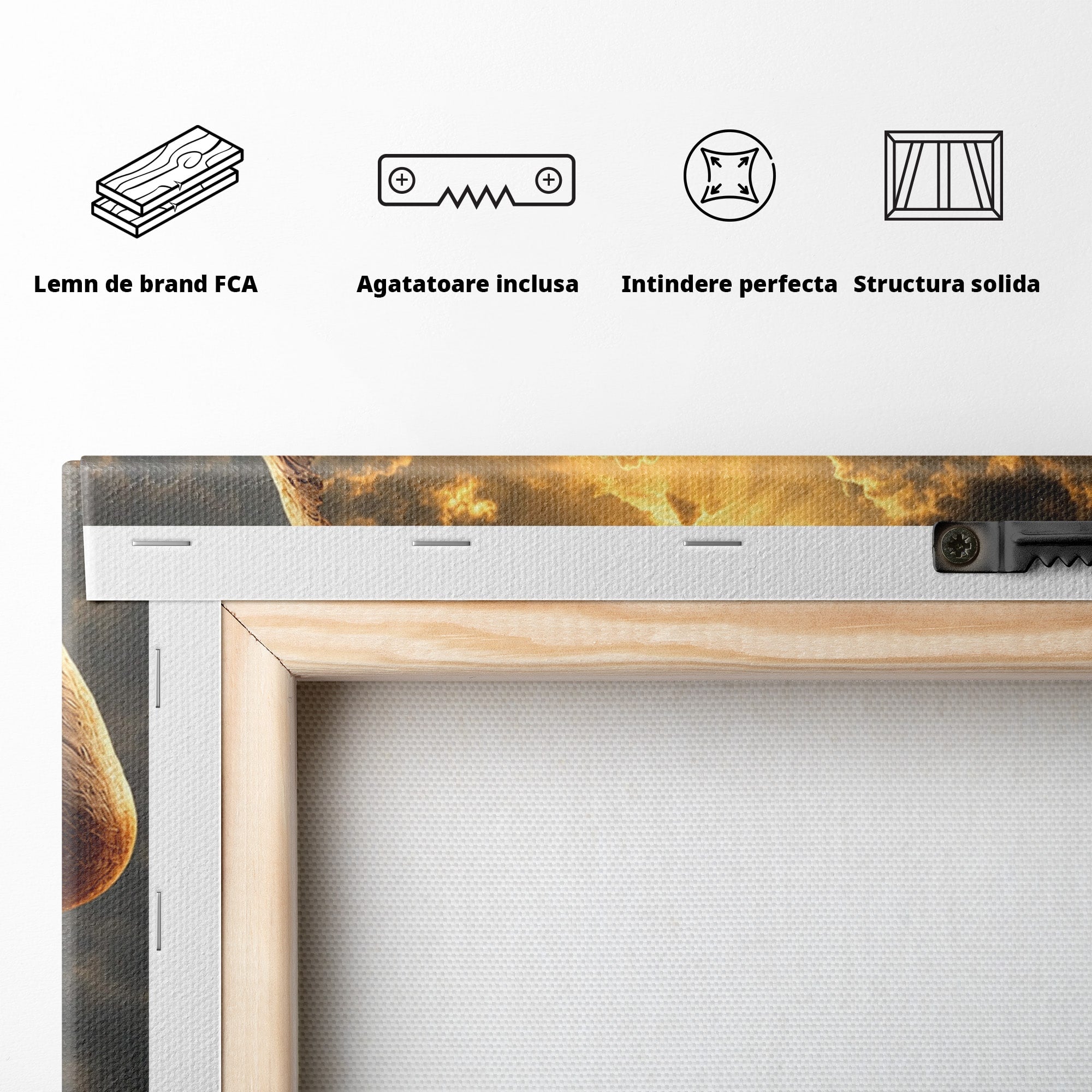 Tablou Canvas Premium LuxCanva® U1007, Chip In Desert, Chip, Desert, Apus, Living, Peisaj, Culori Vibrante