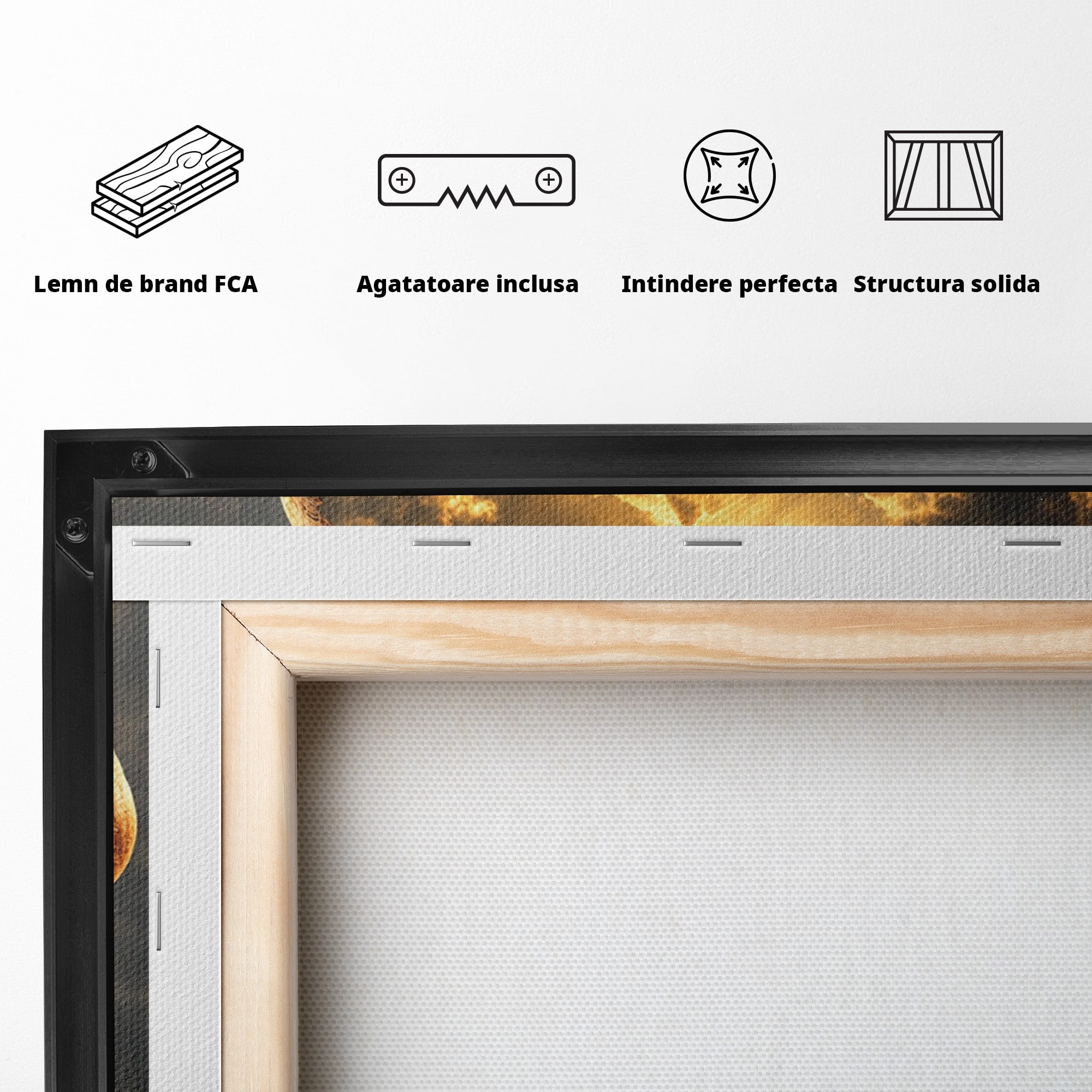 Tablou Canvas Premium LuxCanva® U1007, Chip In Desert, Chip, Desert, Apus, Living, Peisaj, Culori Vibrante