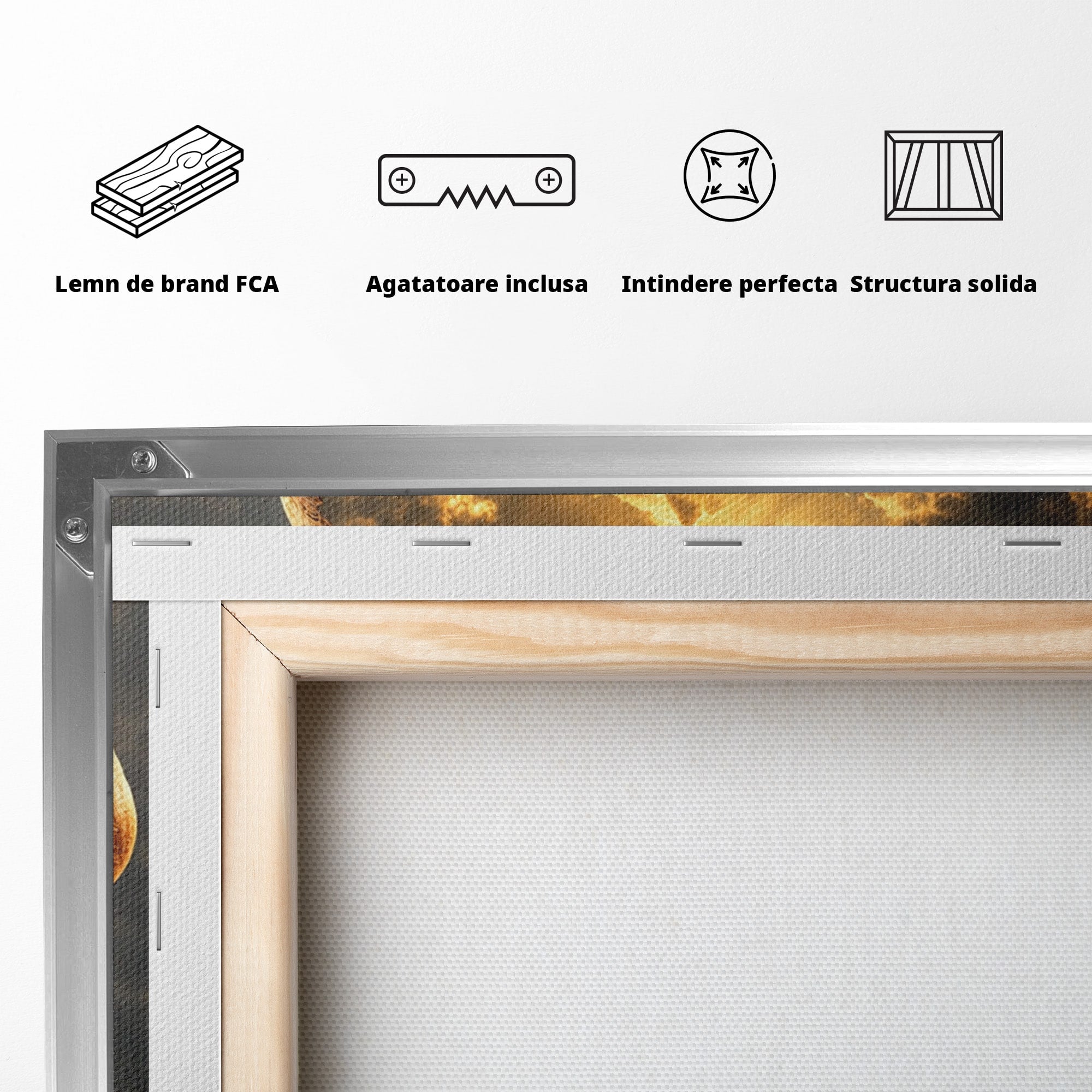 Tablou Canvas Premium LuxCanva® U1007, Chip In Desert, Chip, Desert, Apus, Living, Peisaj, Culori Vibrante