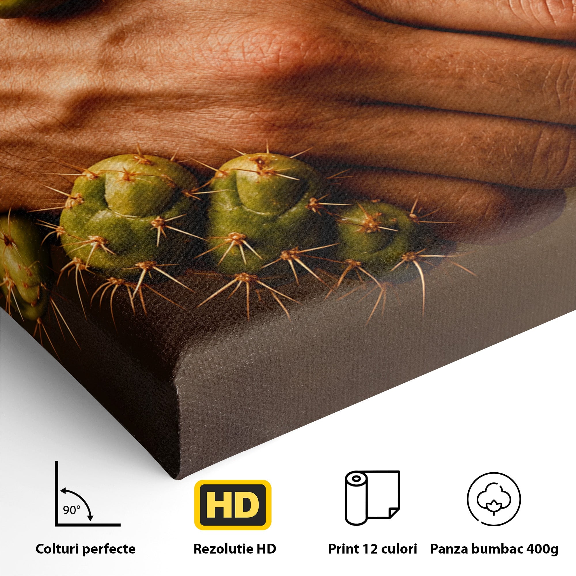 Tablou Canvas Premium LuxCanva® U1008, Strangere De Mana , Cactus, Conceptual, Business, Provocare, Birou, Culori Vibrante