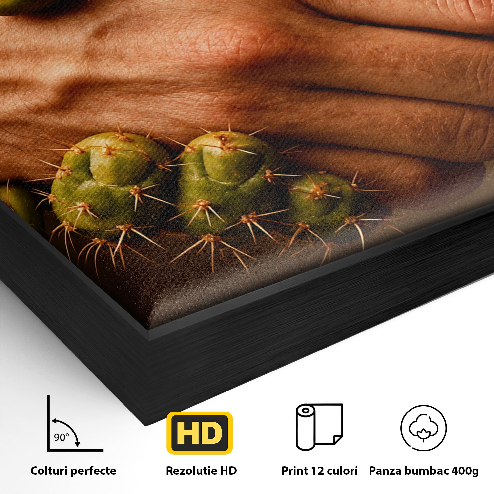 Tablou Canvas Premium LuxCanva® U1008, Strangere De Mana , Cactus, Conceptual, Business, Provocare, Birou, Culori Vibrante