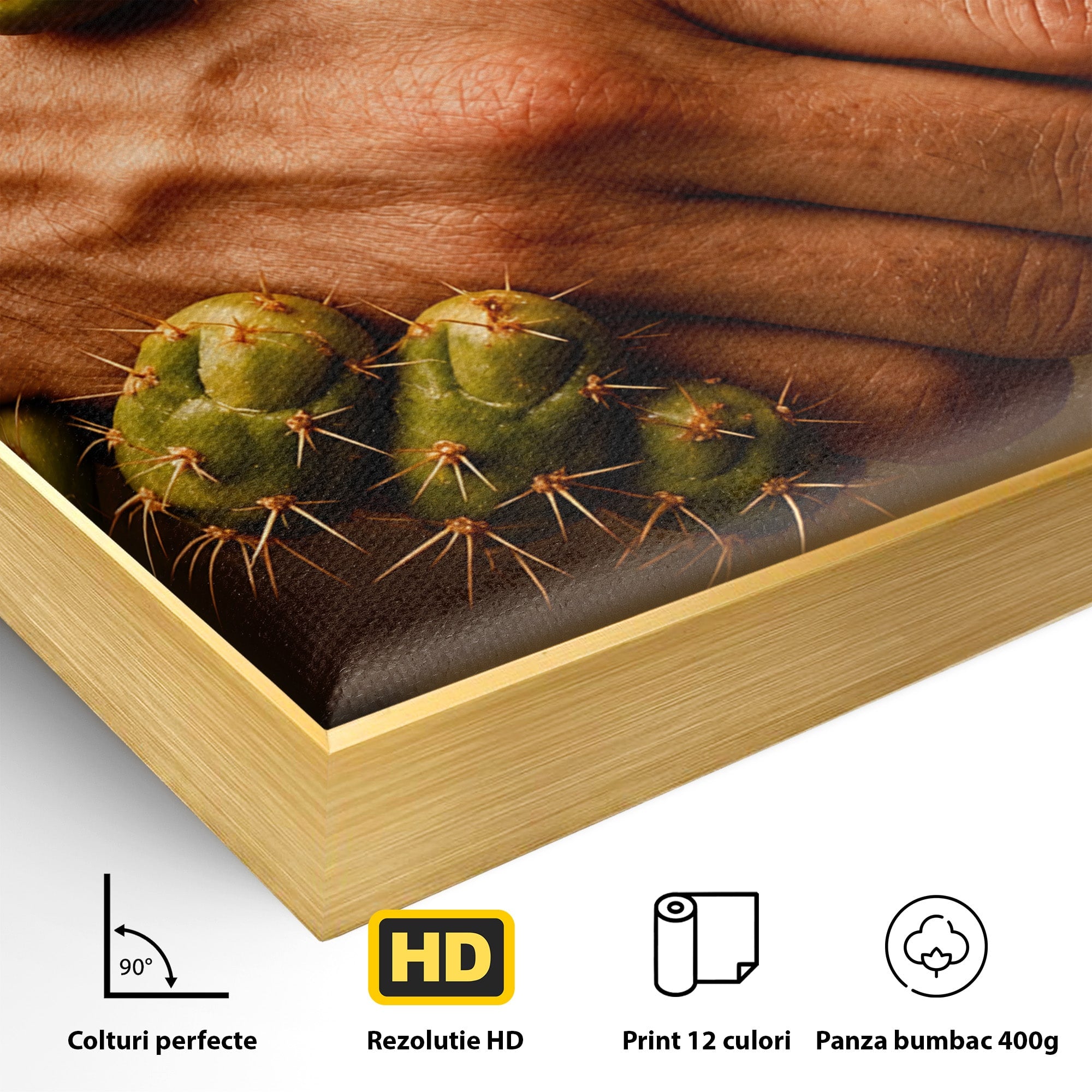 Tablou Canvas Premium LuxCanva® U1008, Strangere De Mana , Cactus, Conceptual, Business, Provocare, Birou, Culori Vibrante