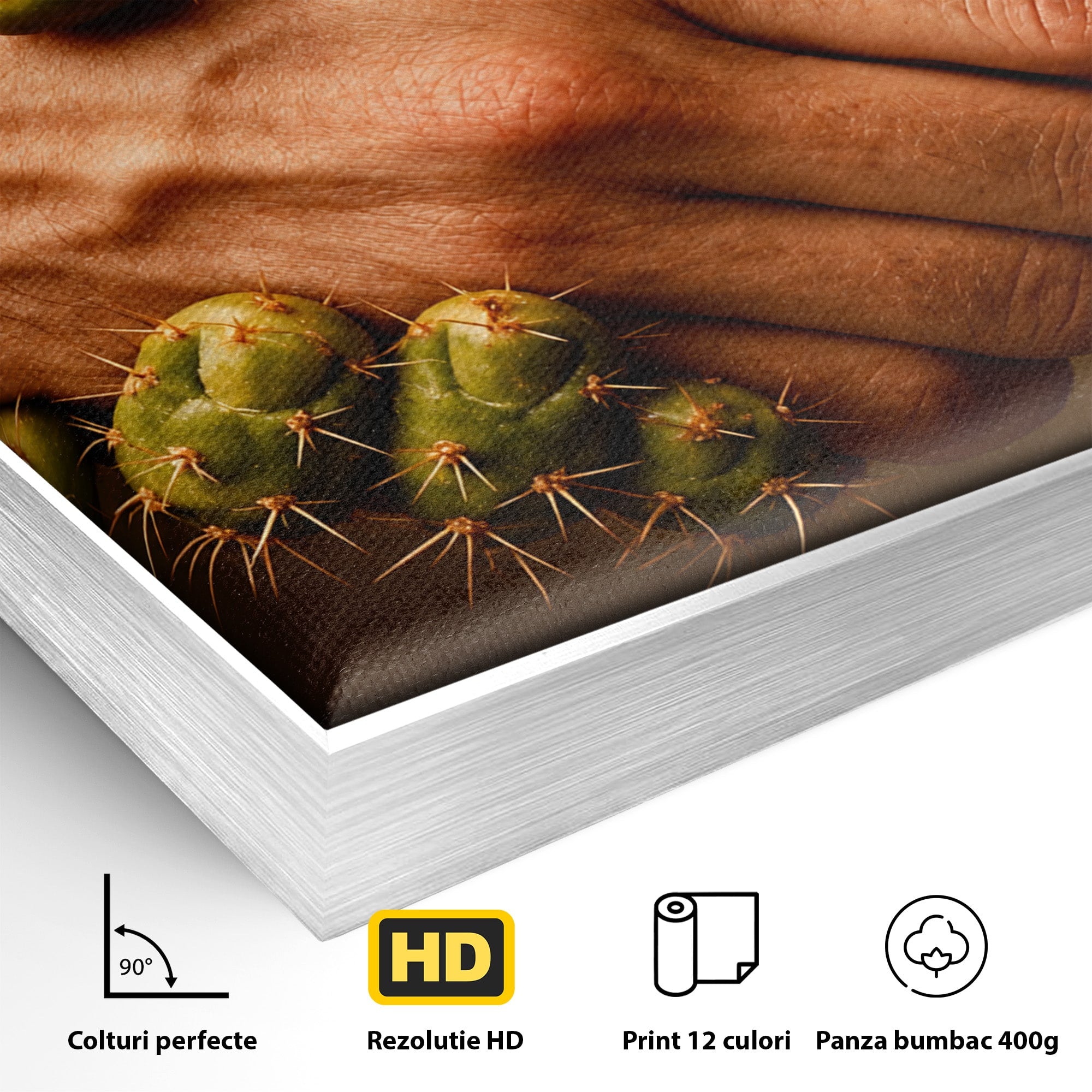Tablou Canvas Premium LuxCanva® U1008, Strangere De Mana , Cactus, Conceptual, Business, Provocare, Birou, Culori Vibrante