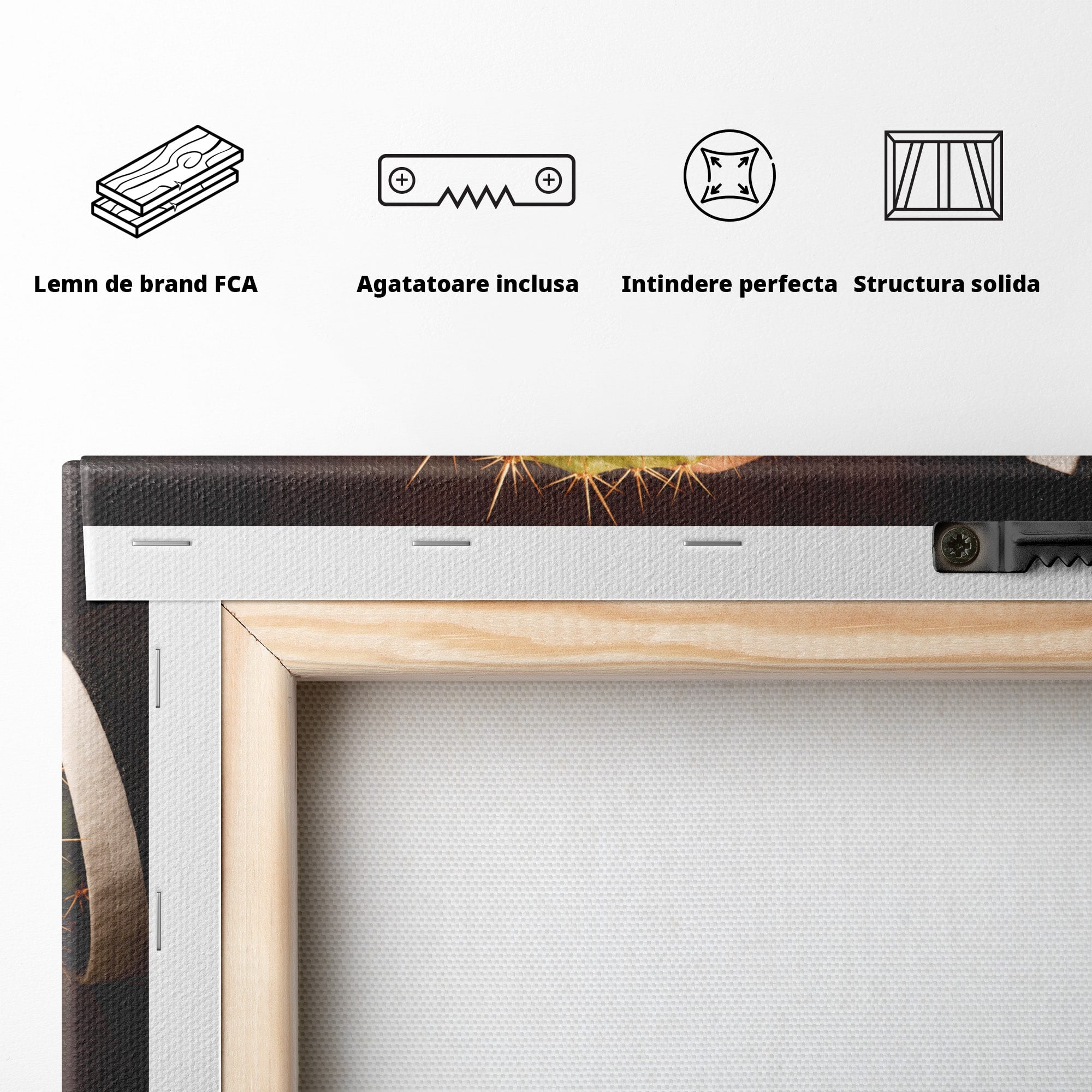 Tablou Canvas Premium LuxCanva® U1008, Strangere De Mana , Cactus, Conceptual, Business, Provocare, Birou, Culori Vibrante