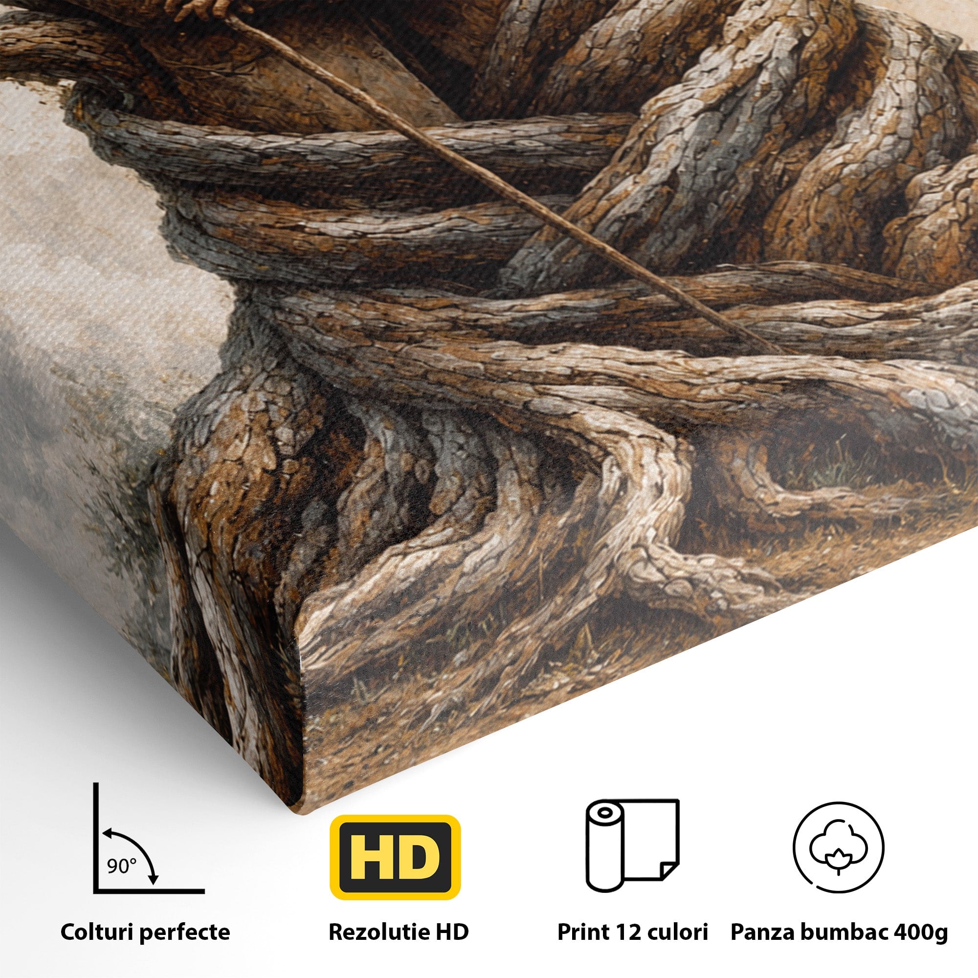 Tablou Canvas Premium LuxCanva® U1010, Imbratisarea Timpului, Batrani, Copac, Iubire, Timp, Natura, Living, Culori Vibrante