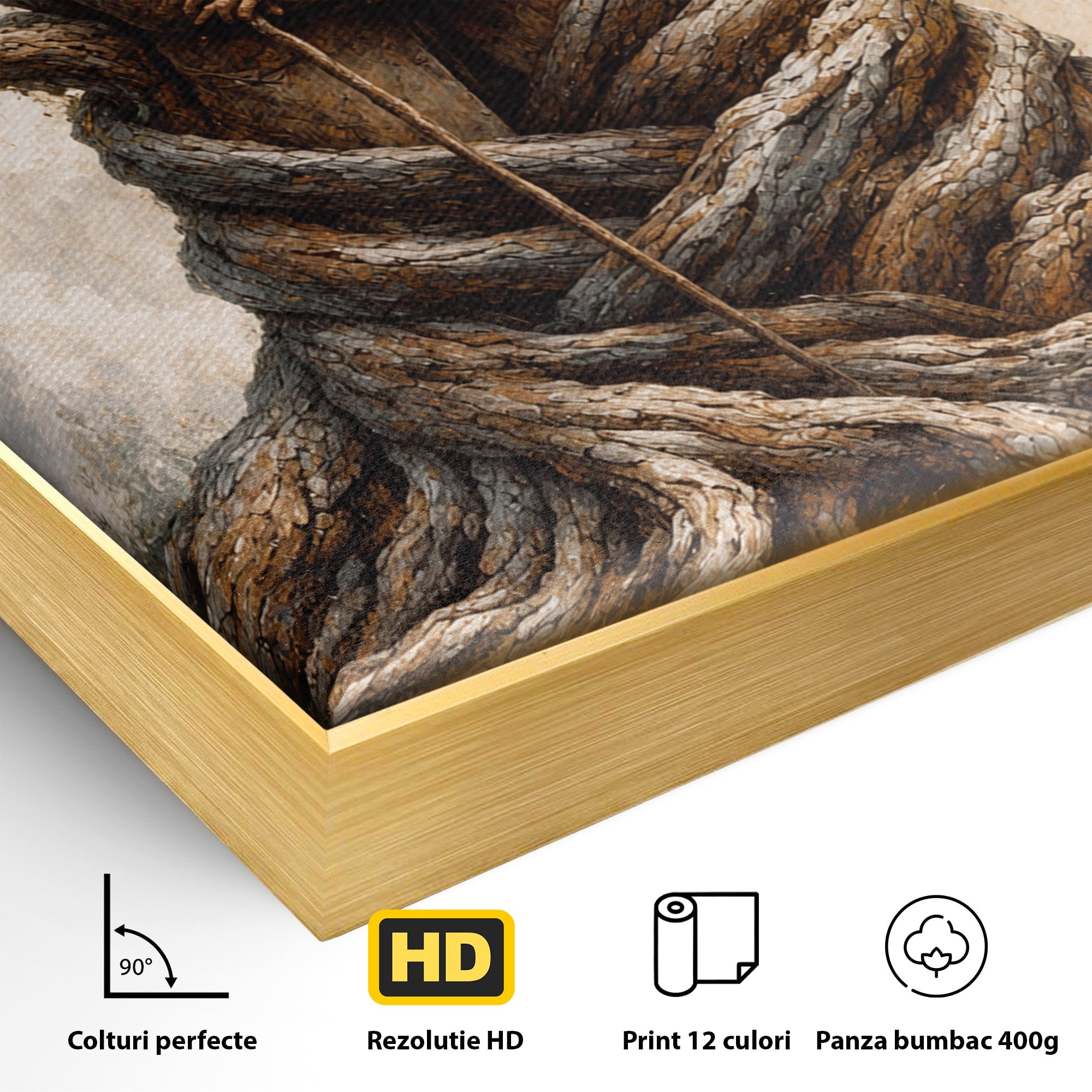 Tablou Canvas Premium LuxCanva® U1010, Imbratisarea Timpului, Batrani, Copac, Iubire, Timp, Natura, Living, Culori Vibrante
