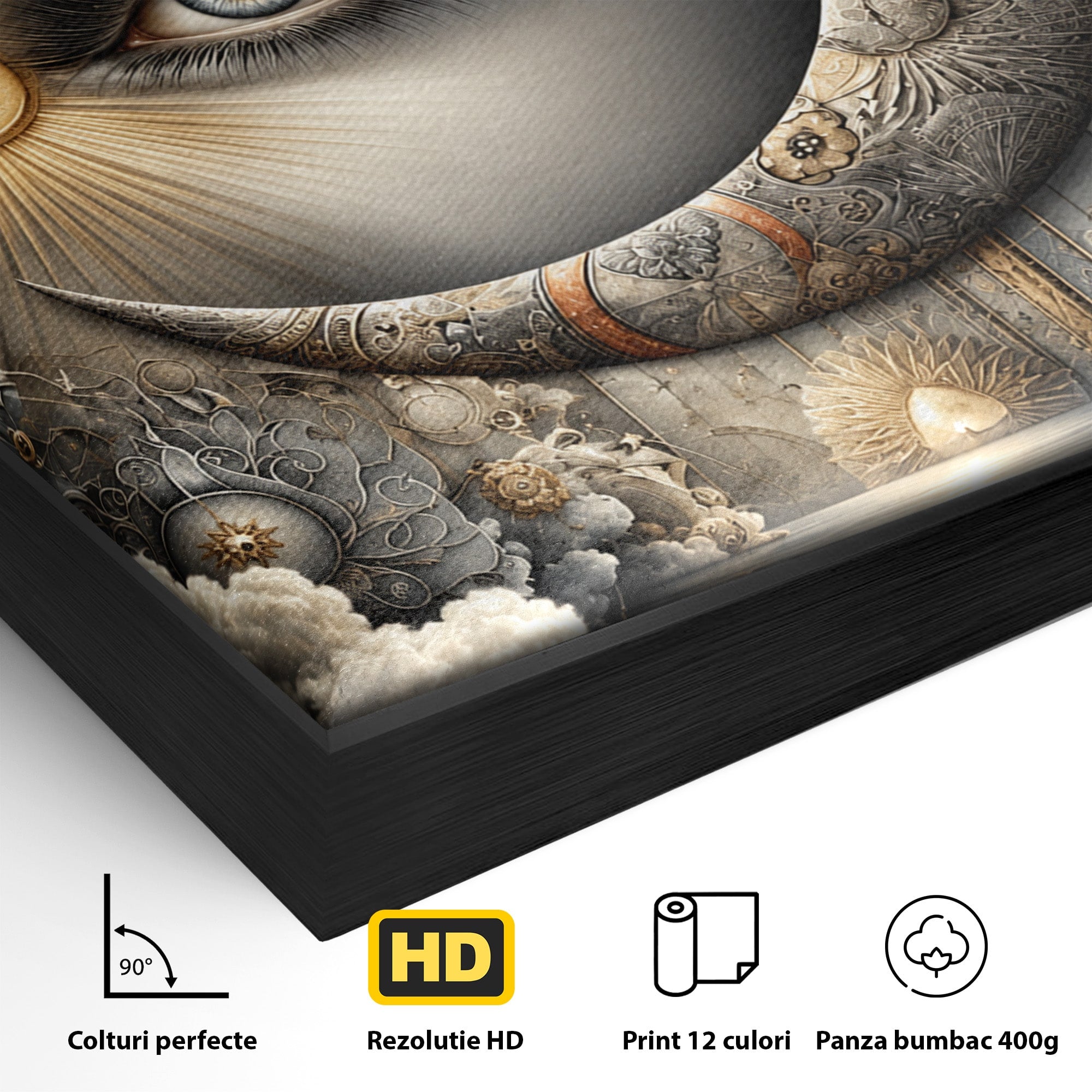 Tablou Canvas Premium LuxCanva® U1012, Ochiul Lunii, Fantezie, Cer, Luna, Ochi, Dormitor, Culori Vibrante