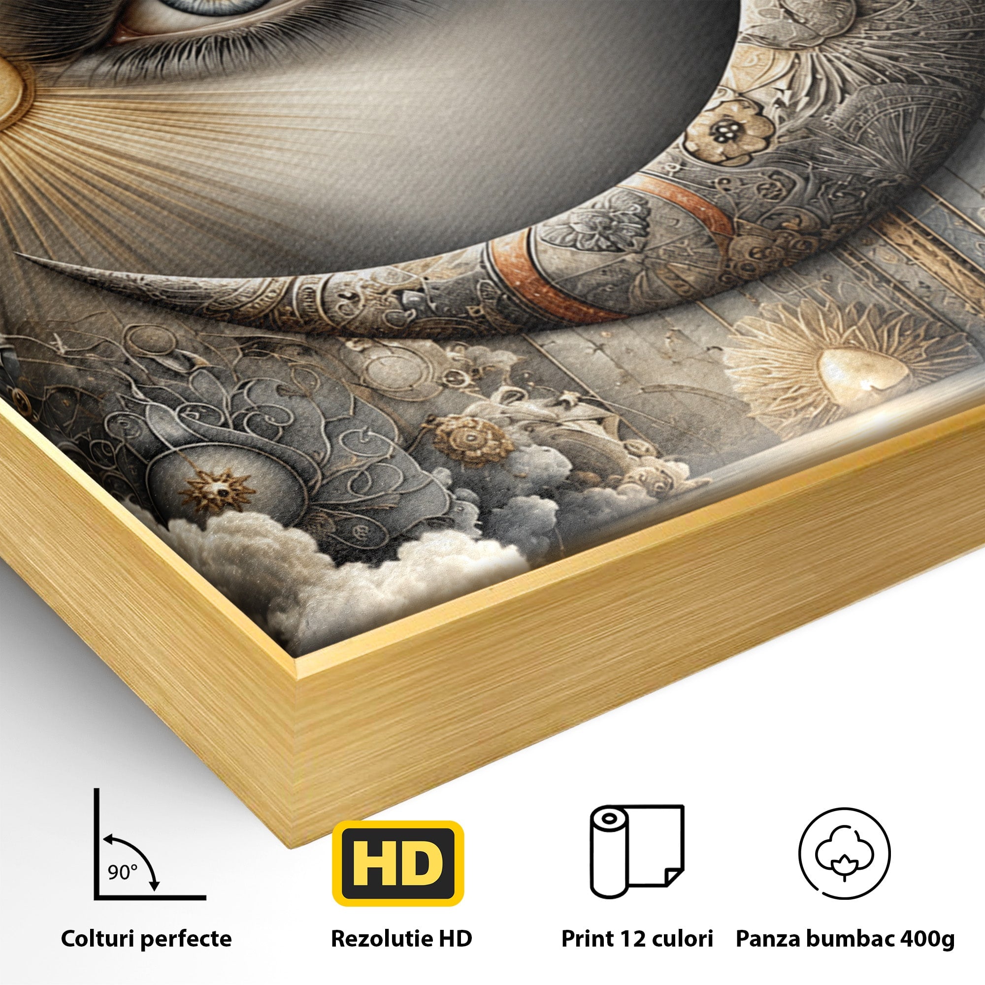 Tablou Canvas Premium LuxCanva® U1012, Ochiul Lunii, Fantezie, Cer, Luna, Ochi, Dormitor, Culori Vibrante