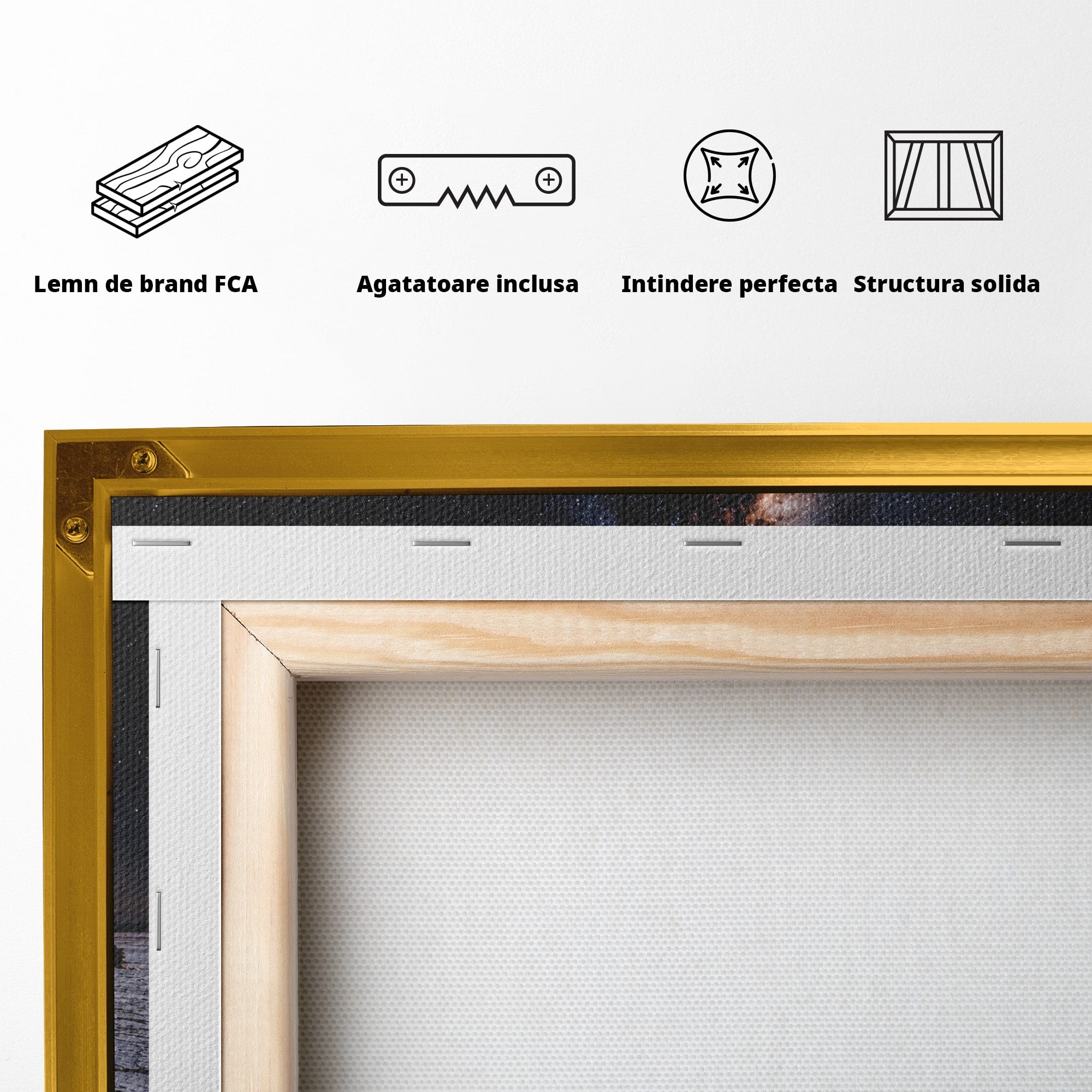 Tablou Canvas Premium LuxCanva® U1013, Femeie In Universul Mecanic, Stele, Mecanica, Desert, Fantezie, Femeie, Dormitor, Culori Vibrante