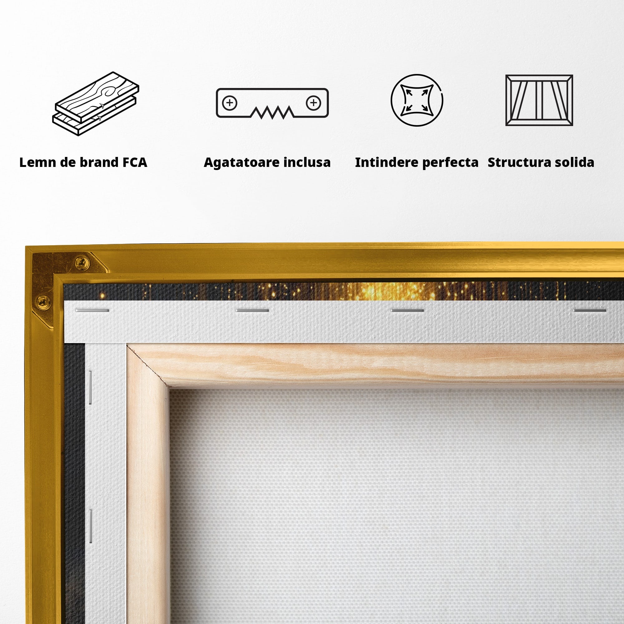 Tablou Canvas Premium LuxCanva® U1017, Cartea Magica, Fantezie, Lumina, Cer, Vis, Carte, Magie,  Living, Culori Vibrante