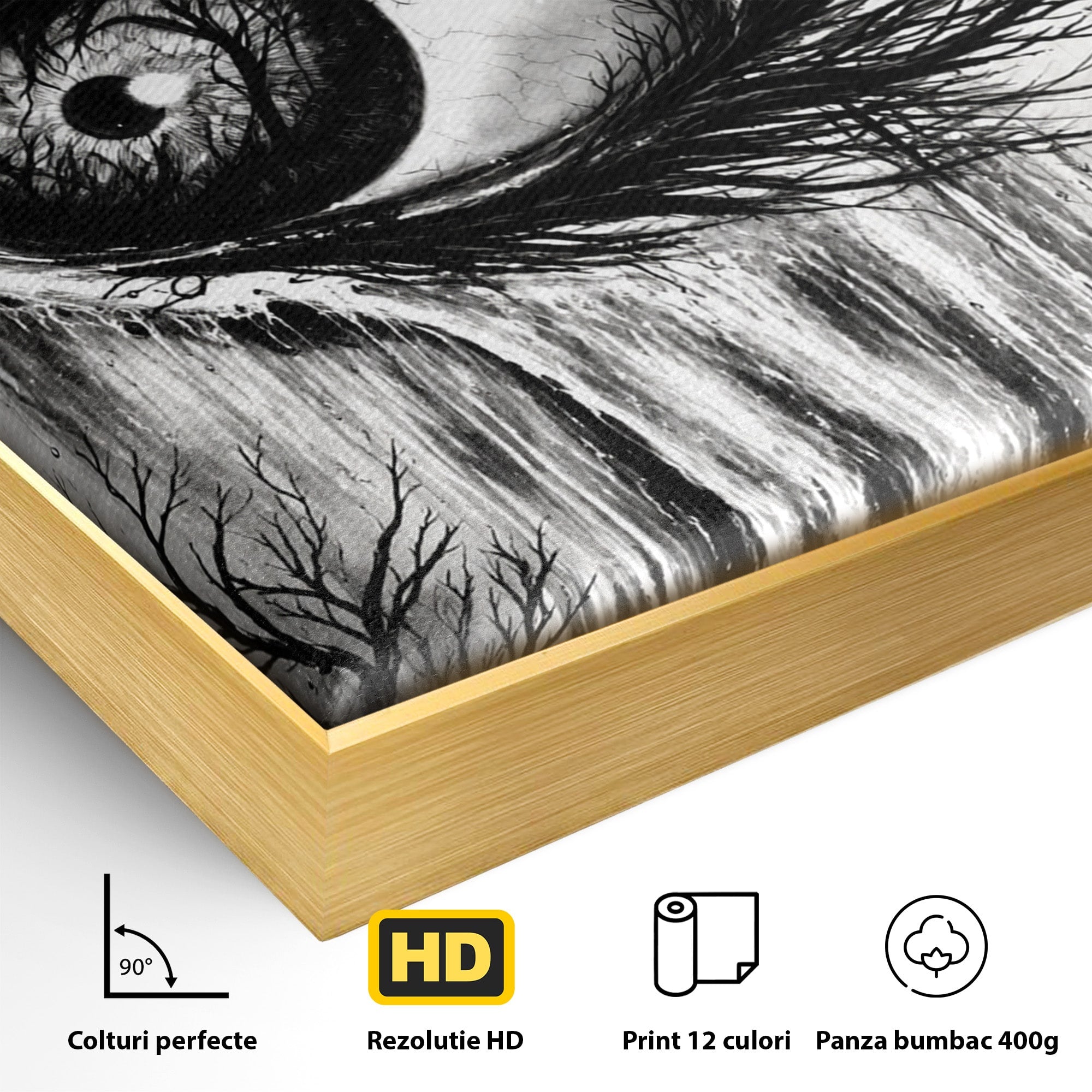 Tablou Canvas Premium LuxCanva® U1021, Privirea Elementelor, Ochi, Copaci, Cascada, Pasari, Living, Culori Vibrante