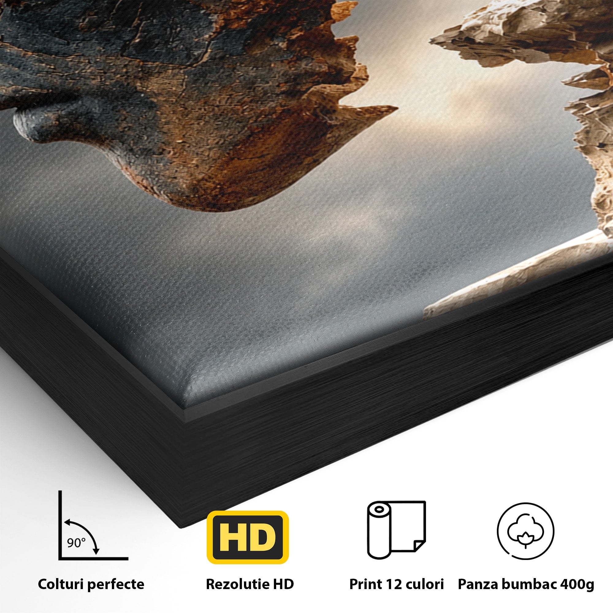 Tablou Canvas Premium LuxCanva® U1023, Chip De Piatra, Abstract, Arta, Chip, Birou, Culori Vibrante