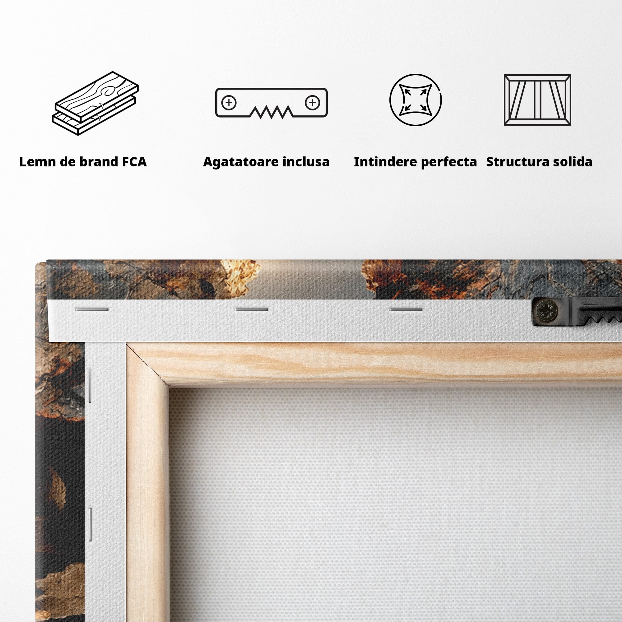 Tablou Canvas Premium LuxCanva® U1023, Chip De Piatra, Abstract, Arta, Chip, Birou, Culori Vibrante