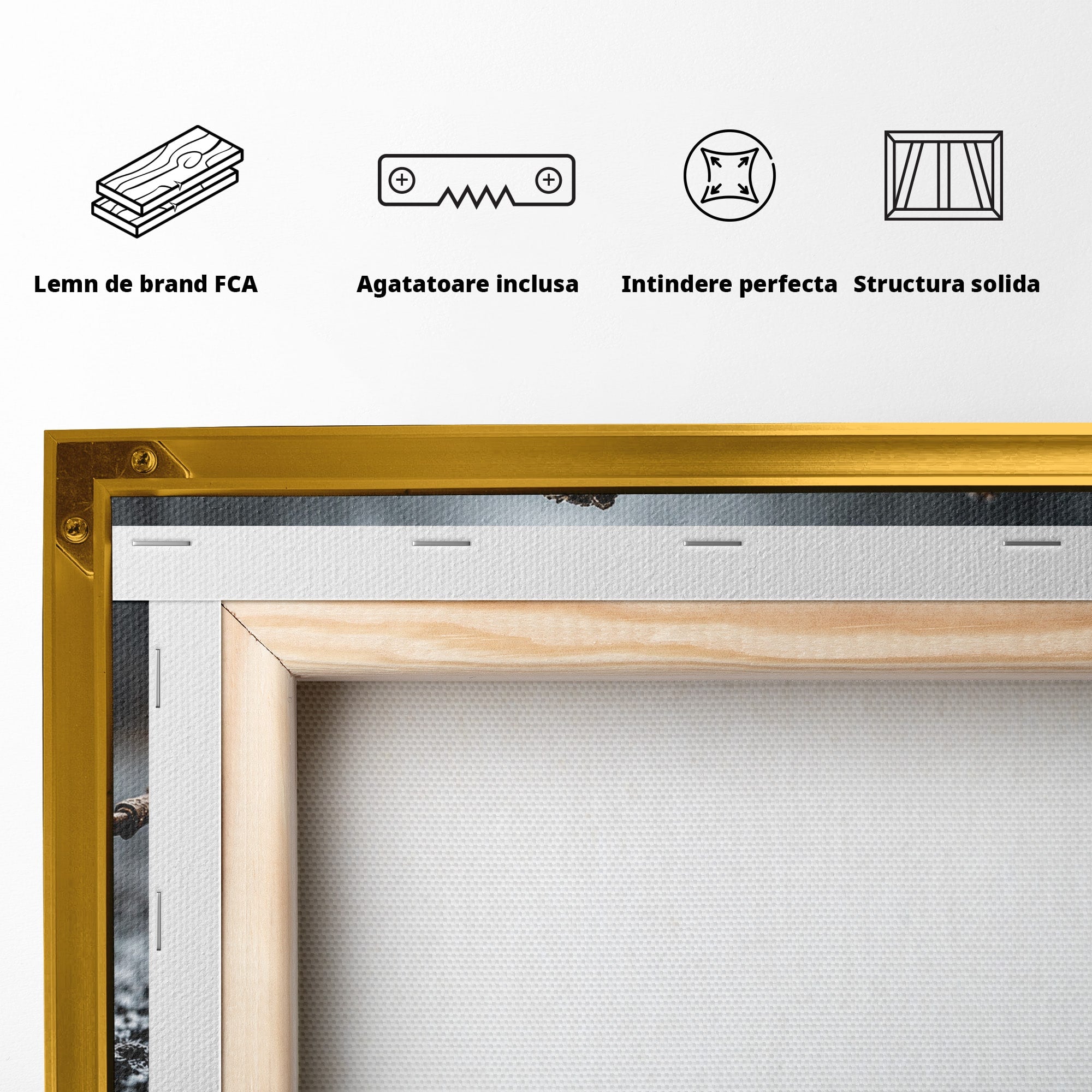Tablou Canvas Premium LuxCanva® U1026, Reflexie Misterioasa, Ochelari, Reflexie, Mister, Padure, Toamna, Fotografie, Dormitor, Culori Vibrante