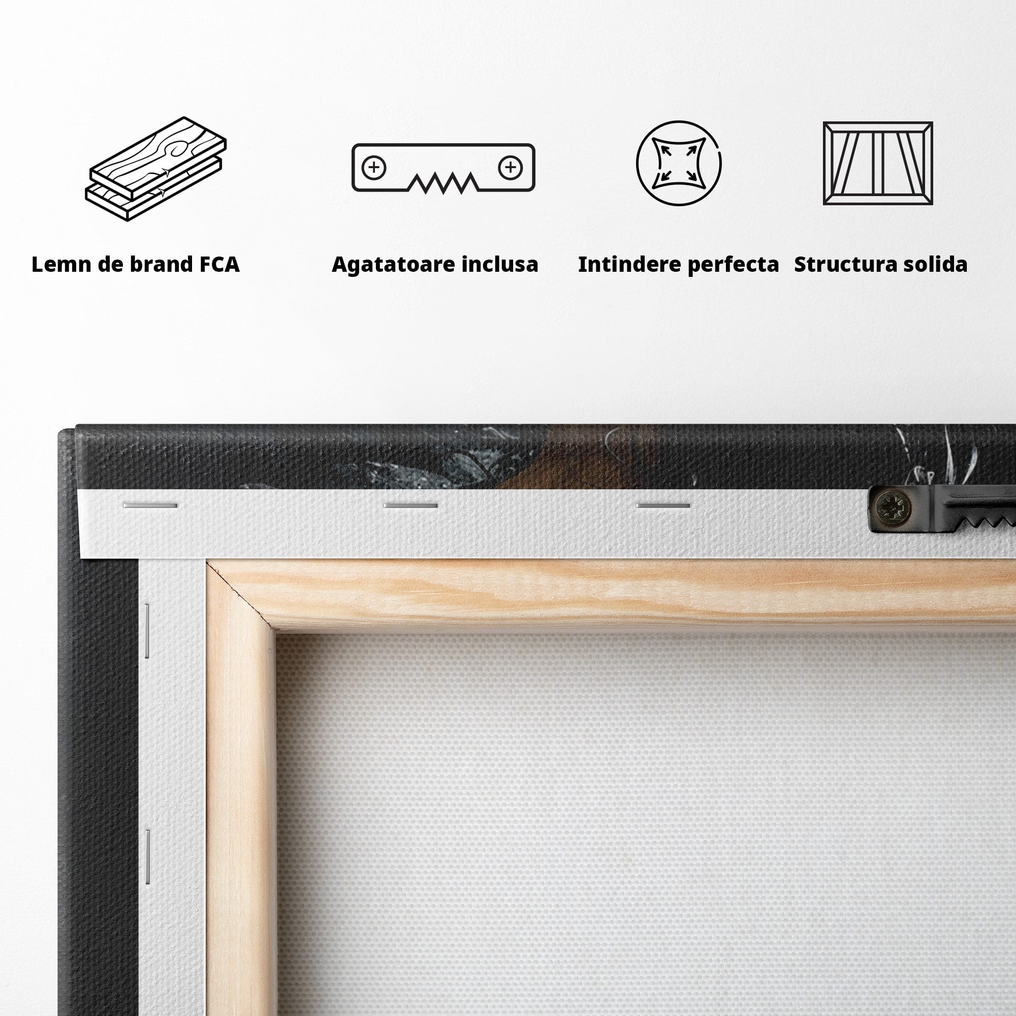 Tablou Canvas Premium LuxCanva® U1028, Ingerul Intunecat,  Aripi, Eleganta, Mister, Inger, Dormitor, Culori Vibrante