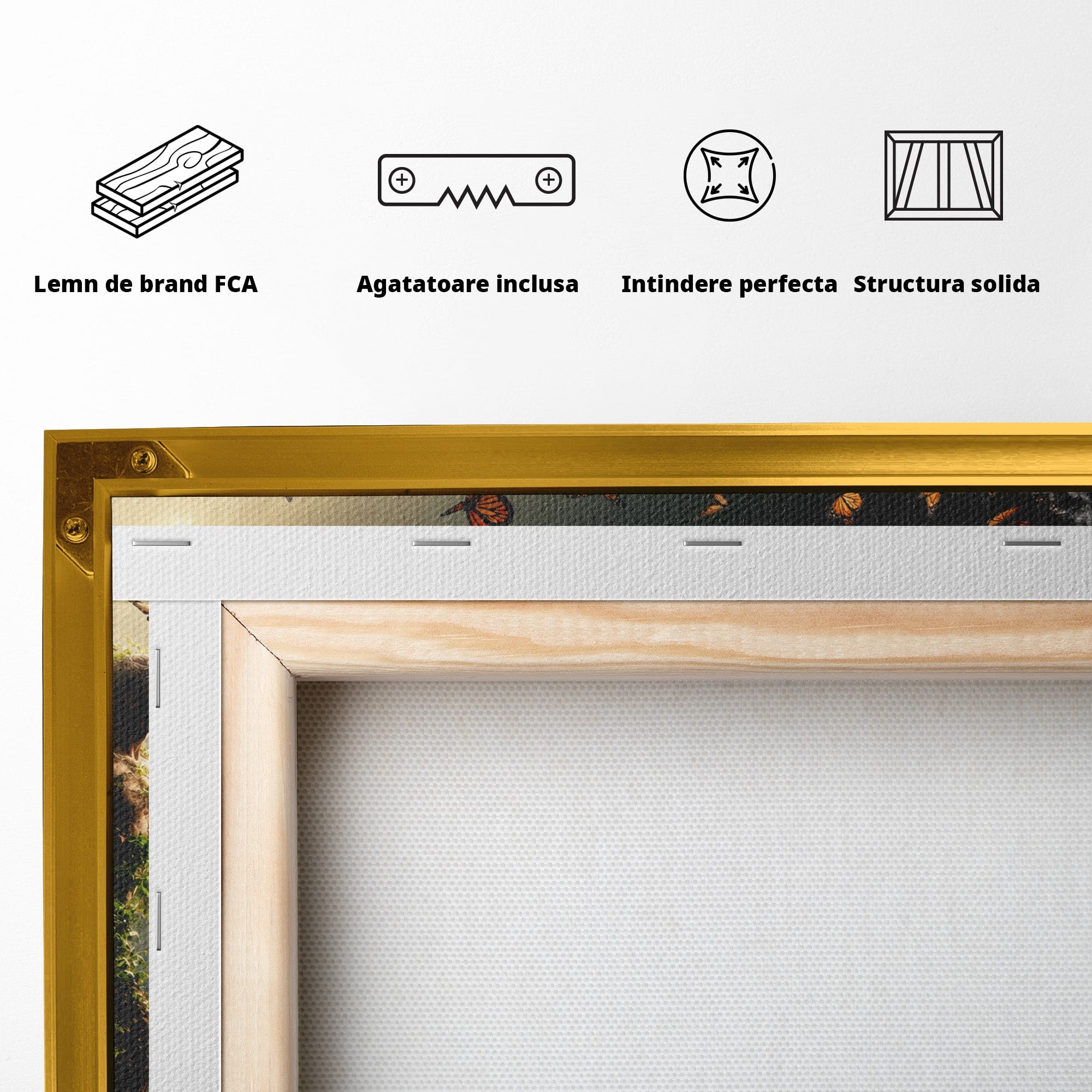 Tablou Canvas Premium LuxCanva® U1033, Dansul Fluturilor, Fantezie, Transformare, Natura, Mister, Fluturi, Living, Dormitor, Culori Vibrante