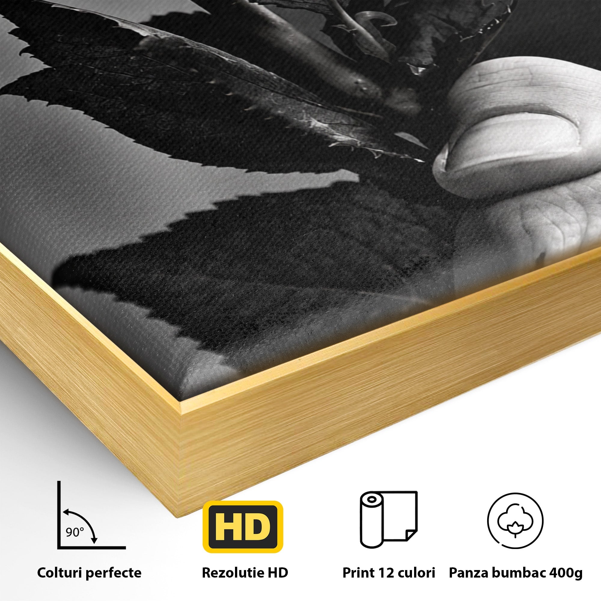 Tablou Canvas Premium LuxCanva® U1041, Trandafir In Mana, Alb-Negru, Contrast, Arta, Trandafir,  Dormitor, Culori Vibrante