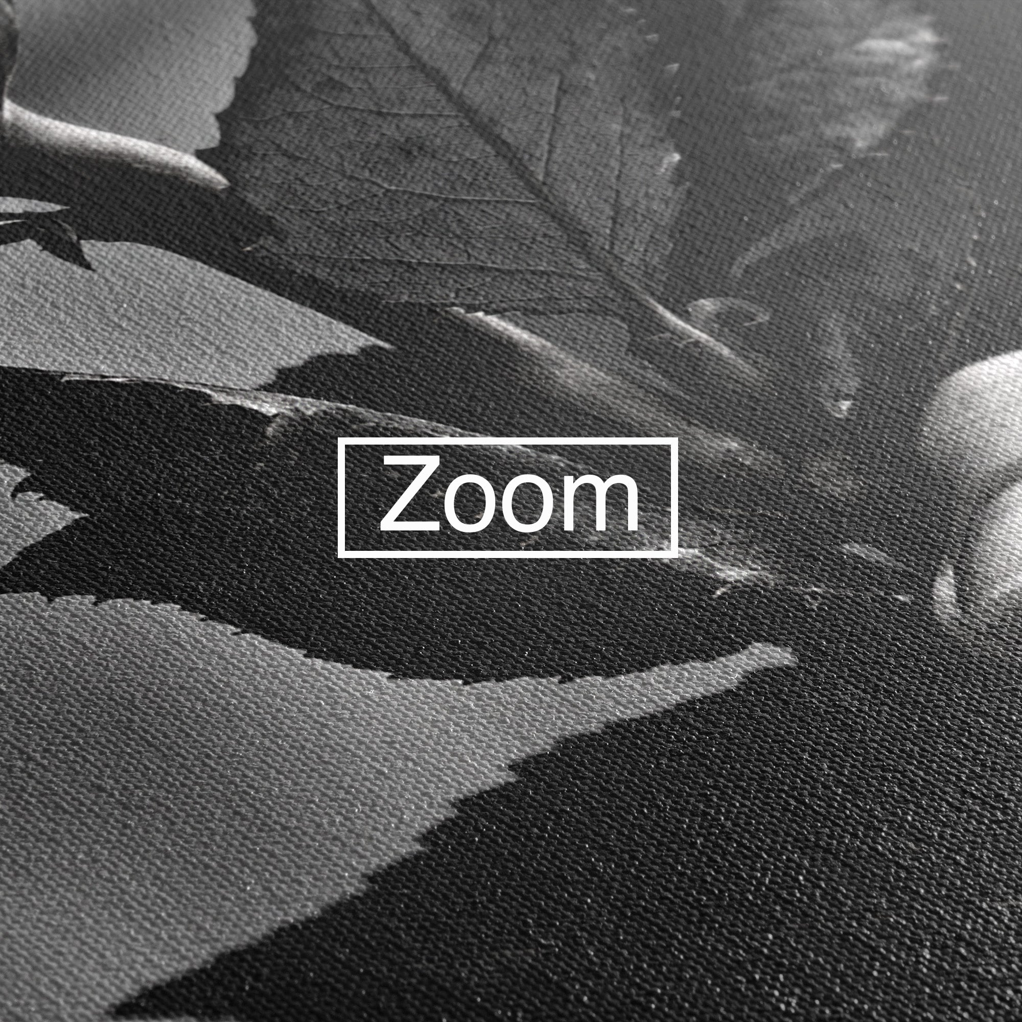 Tablou Canvas Premium LuxCanva® U1041, Trandafir In Mana, Alb-Negru, Contrast, Arta, Trandafir,  Dormitor, Culori Vibrante