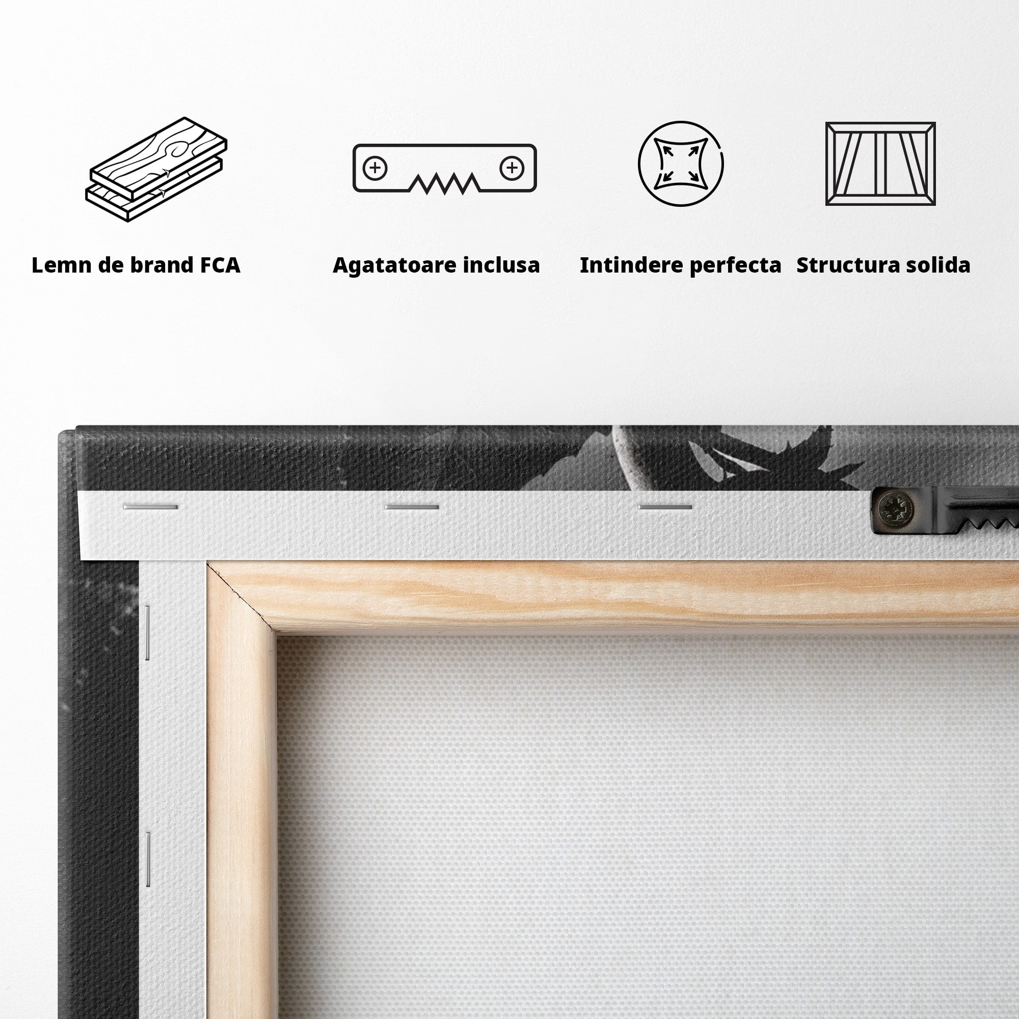 Tablou Canvas Premium LuxCanva® U1041, Trandafir In Mana, Alb-Negru, Contrast, Arta, Trandafir,  Dormitor, Culori Vibrante
