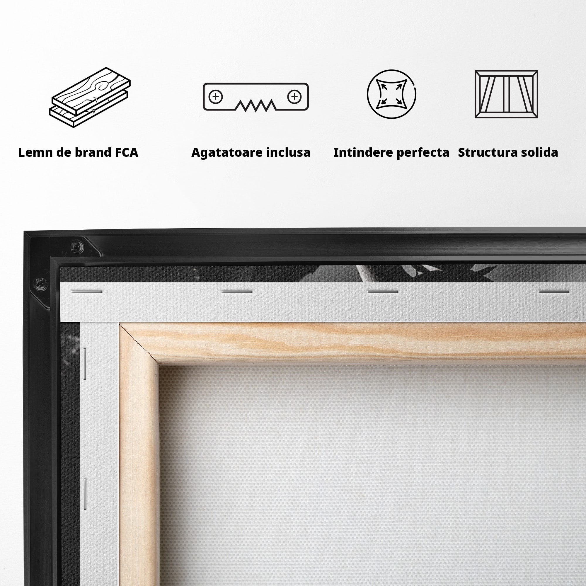Tablou Canvas Premium LuxCanva® U1041, Trandafir In Mana, Alb-Negru, Contrast, Arta, Trandafir,  Dormitor, Culori Vibrante