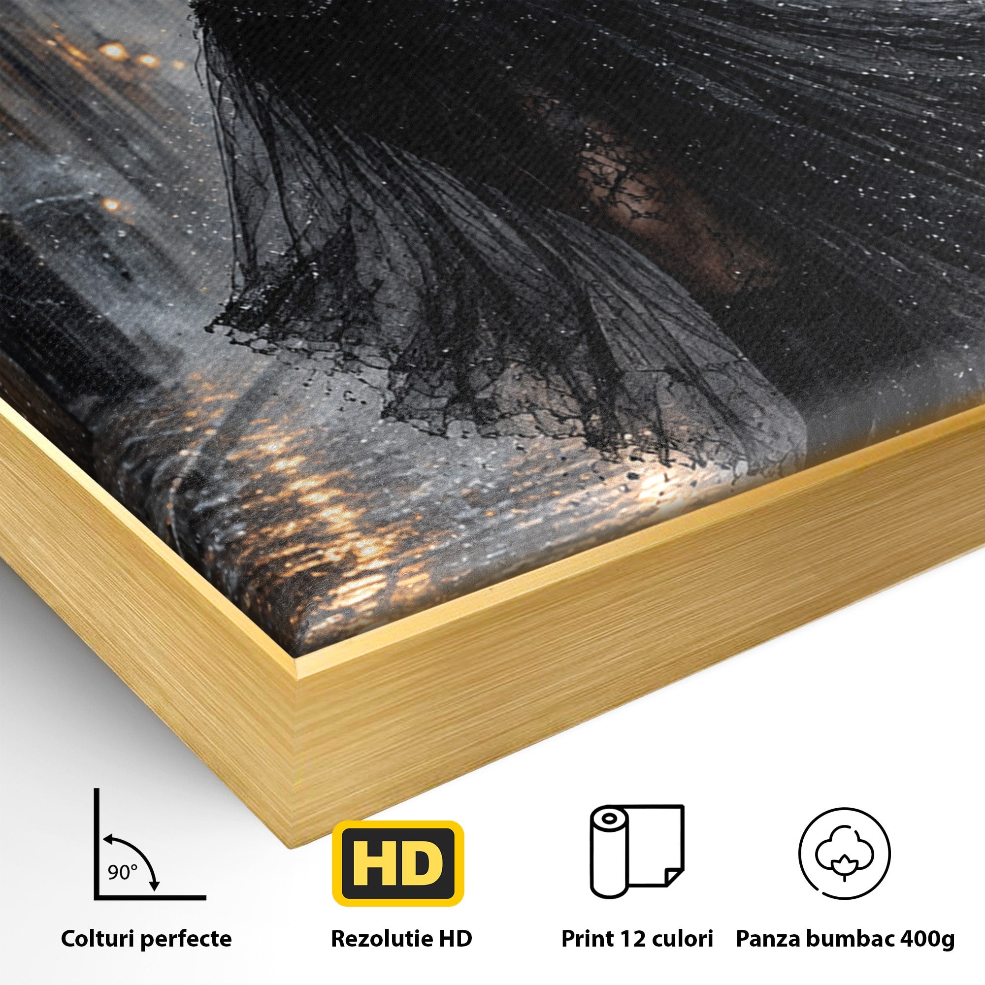 Tablou Canvas Premium LuxCanva® U1049, Balet Nocturn Pe Strazile Ude, Dansatoare, Ploaie, Romantic, Dramatic, Strada, Noapte, Living, Culori Vibrante