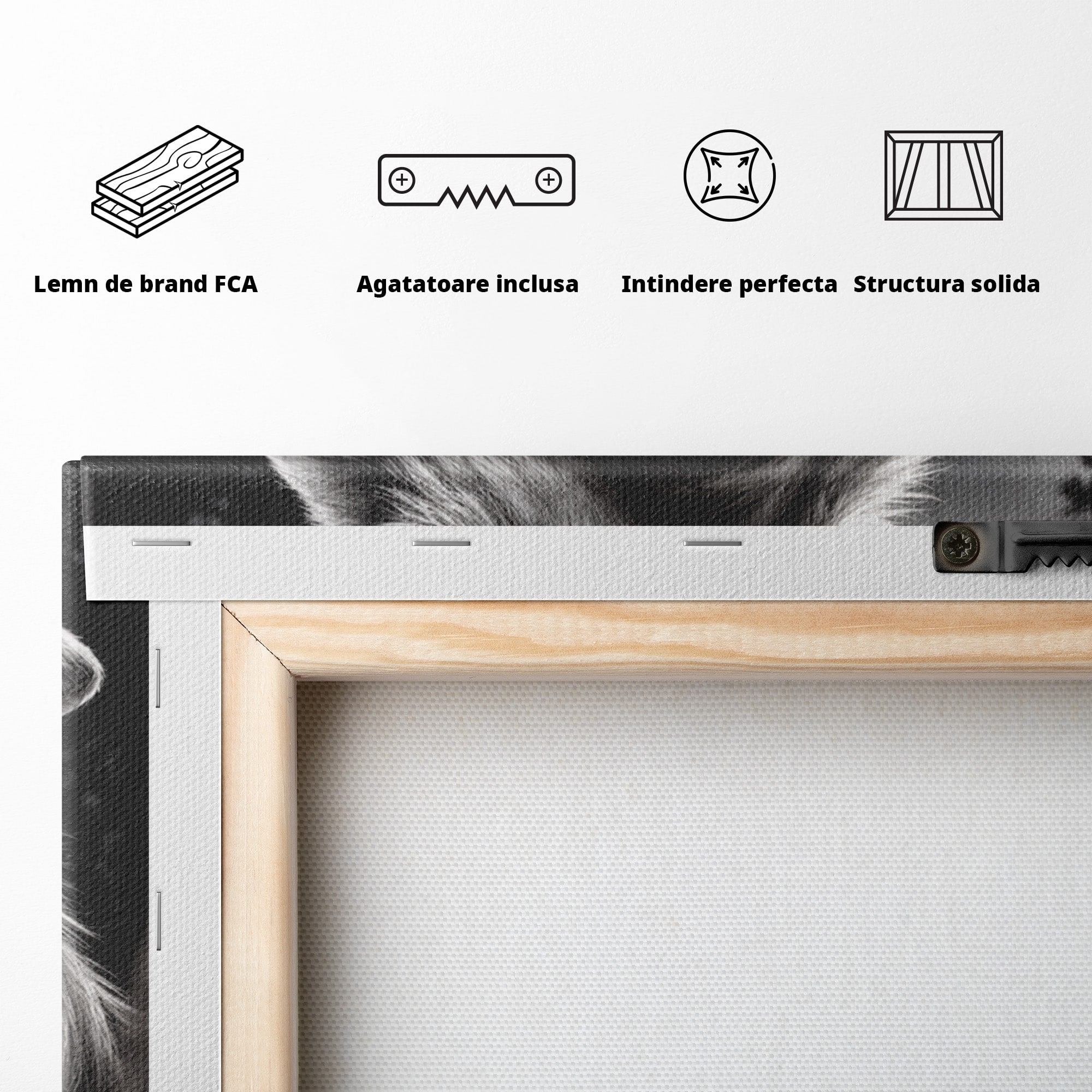 Tablou Canvas Premium LuxCanva® U1051, Femeie Lup Sub Luna, Noapte, Mister, Femeie, Lup, Living, Culori Vibrante
