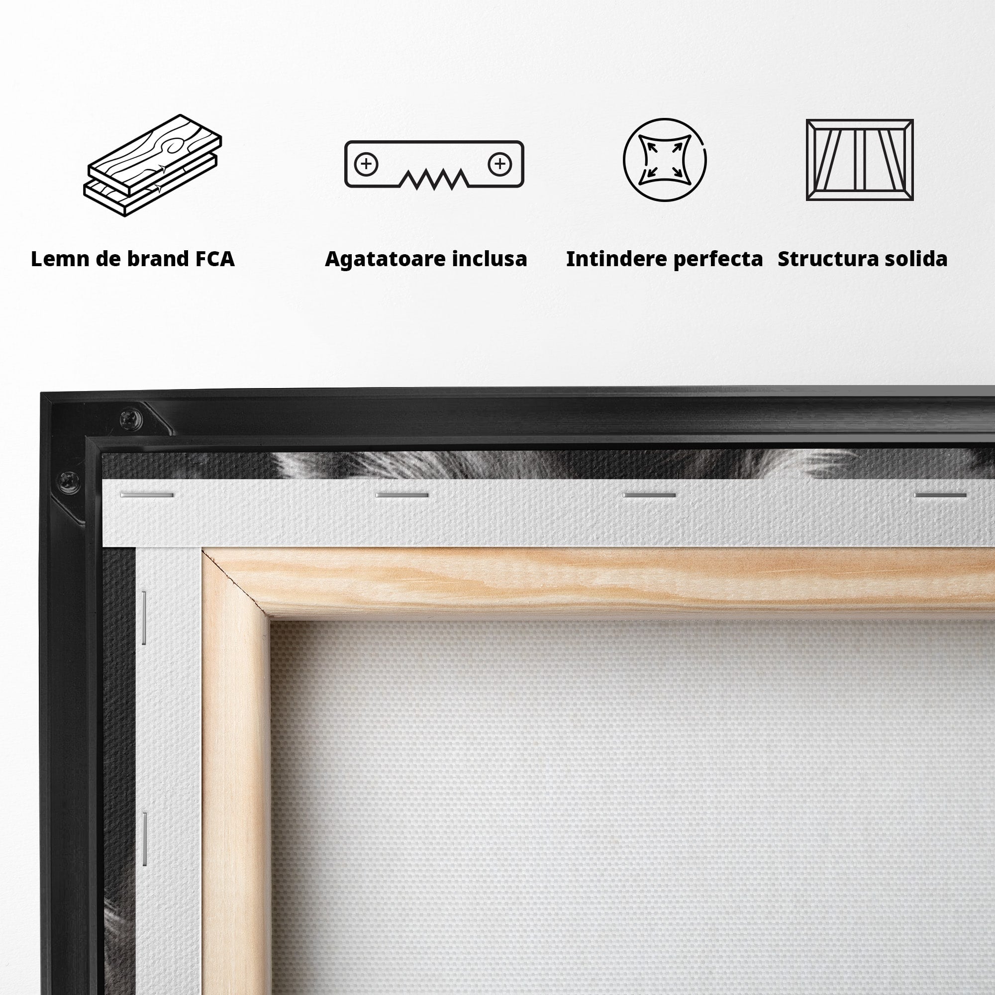 Tablou Canvas Premium LuxCanva® U1051, Femeie Lup Sub Luna, Noapte, Mister, Femeie, Lup, Living, Culori Vibrante