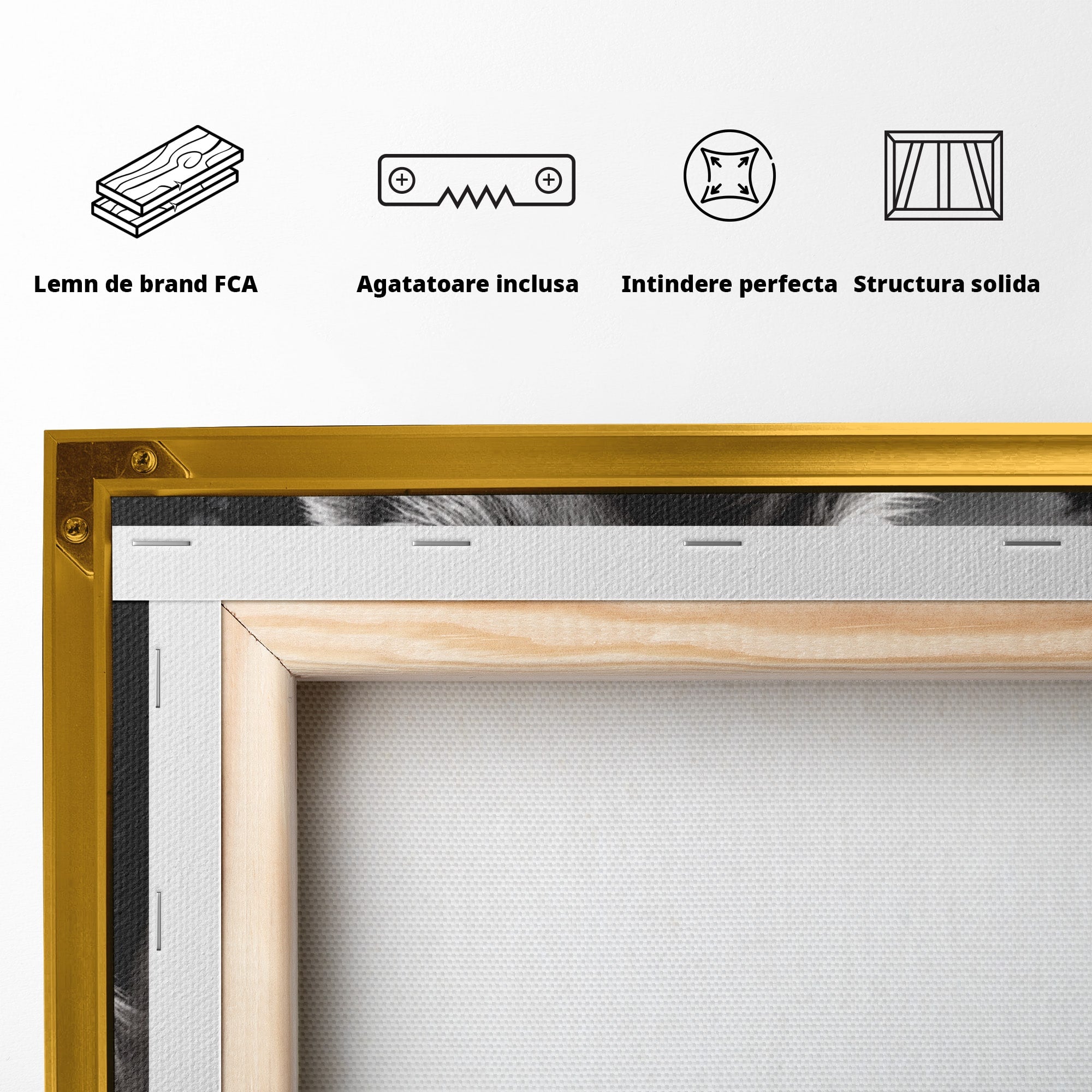 Tablou Canvas Premium LuxCanva® U1051, Femeie Lup Sub Luna, Noapte, Mister, Femeie, Lup, Living, Culori Vibrante