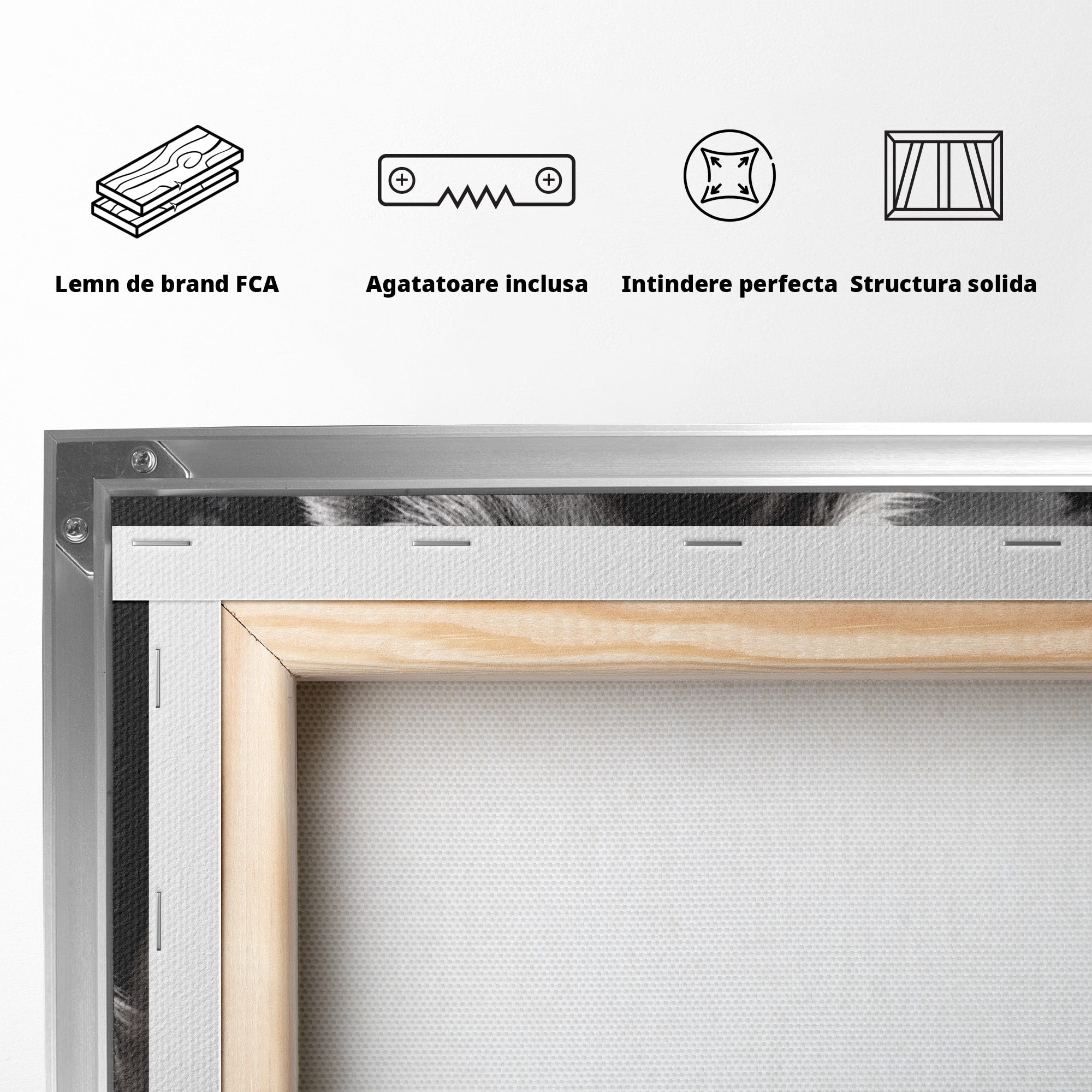Tablou Canvas Premium LuxCanva® U1051, Femeie Lup Sub Luna, Noapte, Mister, Femeie, Lup, Living, Culori Vibrante