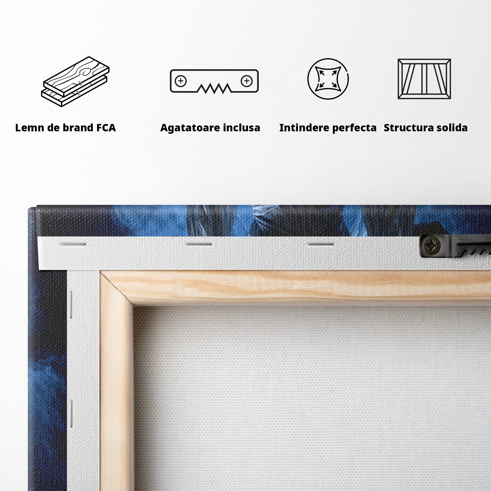 Tablou Canvas Premium LuxCanva® U1052, Zeita Lunii, Mistic, Statuie, Zeita, Luna, Dormitor, Living, Culori Vibrante