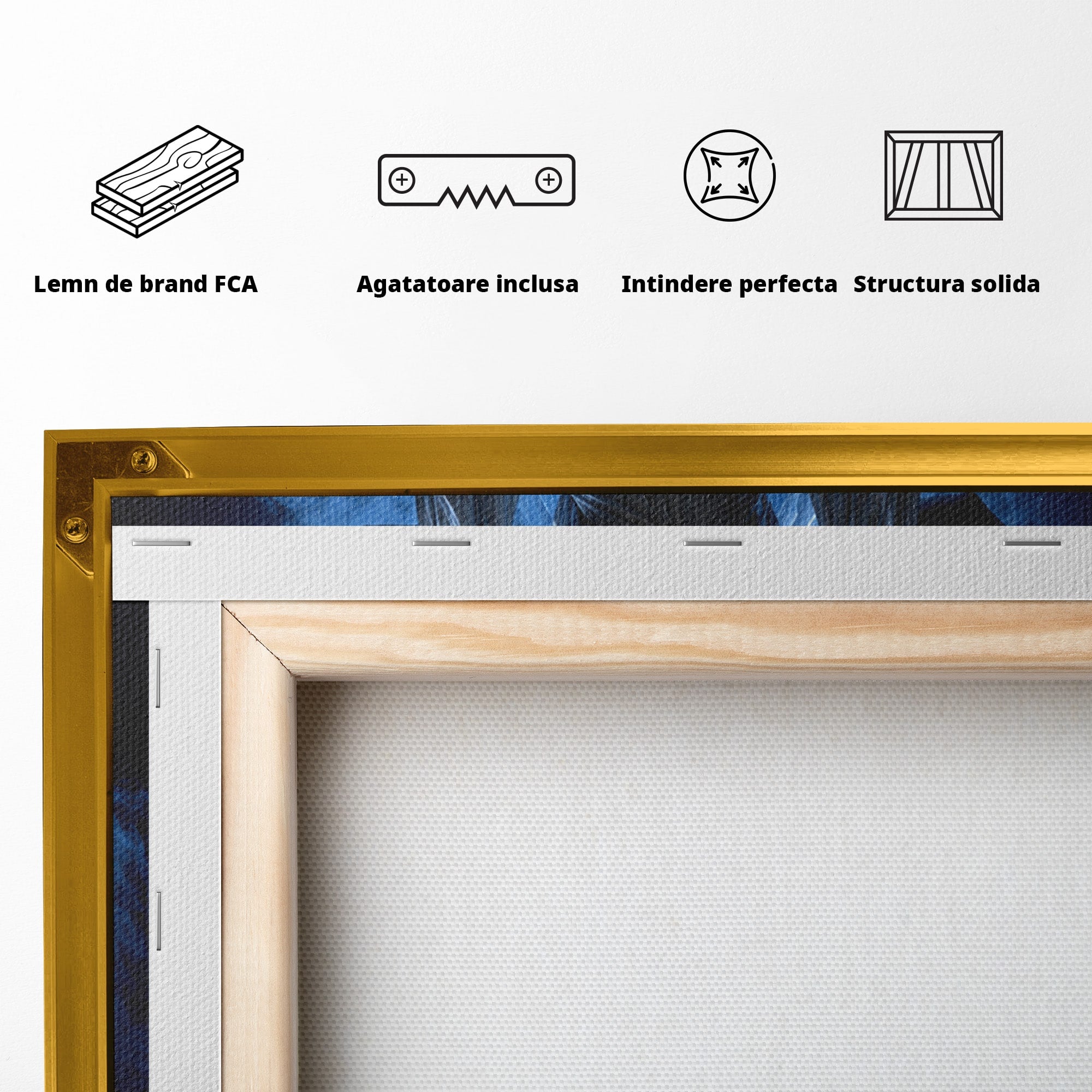 Tablou Canvas Premium LuxCanva® U1052, Zeita Lunii, Mistic, Statuie, Zeita, Luna, Dormitor, Living, Culori Vibrante