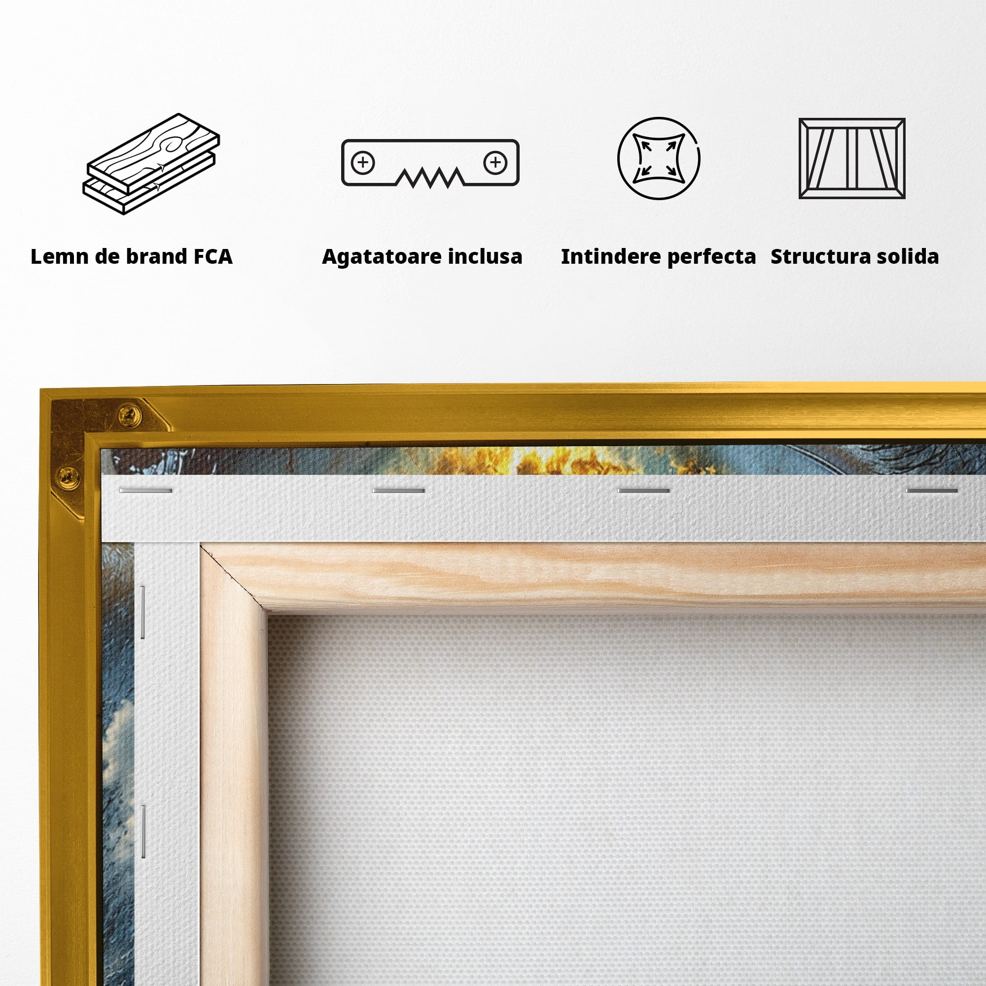 Tablou Canvas Premium LuxCanva® U1055, Privirea Catre Infinit, Ochi, Peisaj, Fantezie, Mister, Living, Dormitor, Culori Vibrante