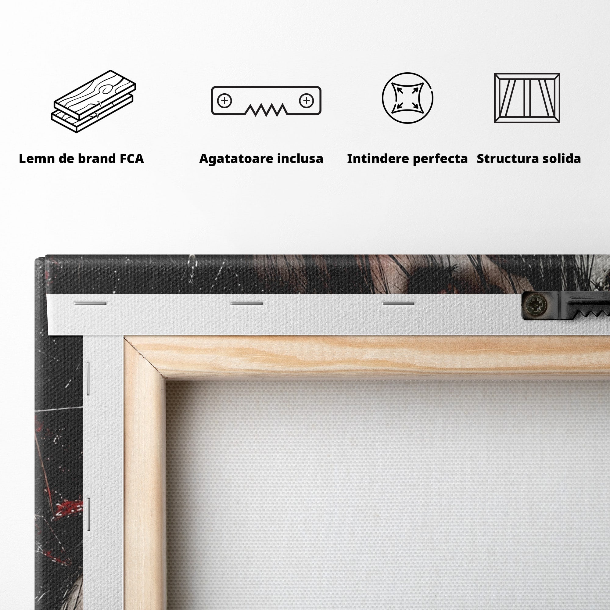 Tablou Canvas Premium LuxCanva® U1061, Fata Cu Trandafiri Rosii, Portret, Mister, Trandafiri, Dormitor, Culori Vibrante