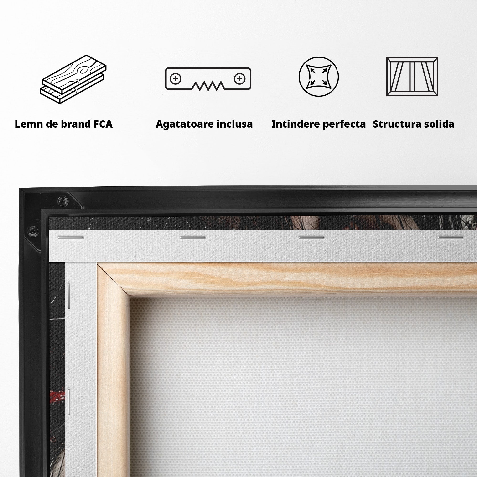 Tablou Canvas Premium LuxCanva® U1061, Fata Cu Trandafiri Rosii, Portret, Mister, Trandafiri, Dormitor, Culori Vibrante