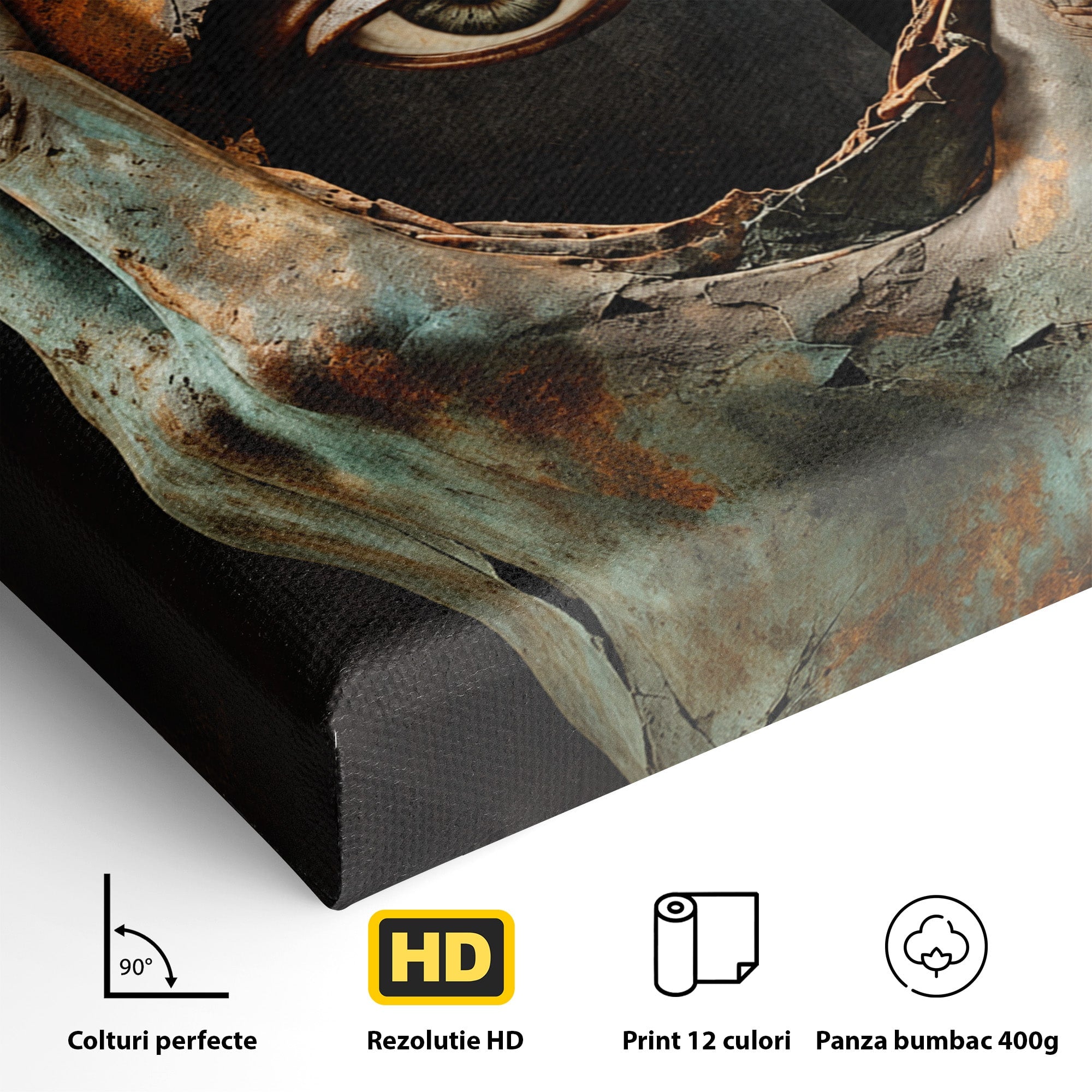 Tablou Canvas Premium LuxCanva® U1062, Privirea Misterioasa, Ochi, Mister, Abstract, Arta, Birou, Culori Vibrante