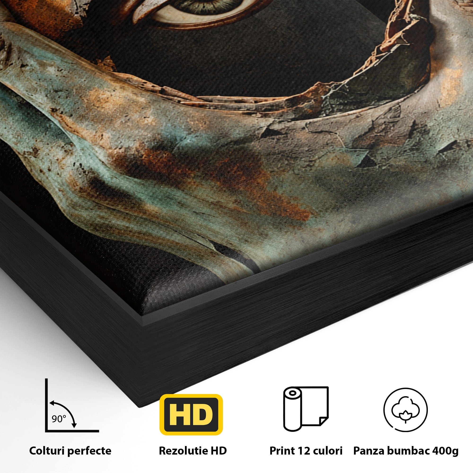 Tablou Canvas Premium LuxCanva® U1062, Privirea Misterioasa, Ochi, Mister, Abstract, Arta, Birou, Culori Vibrante
