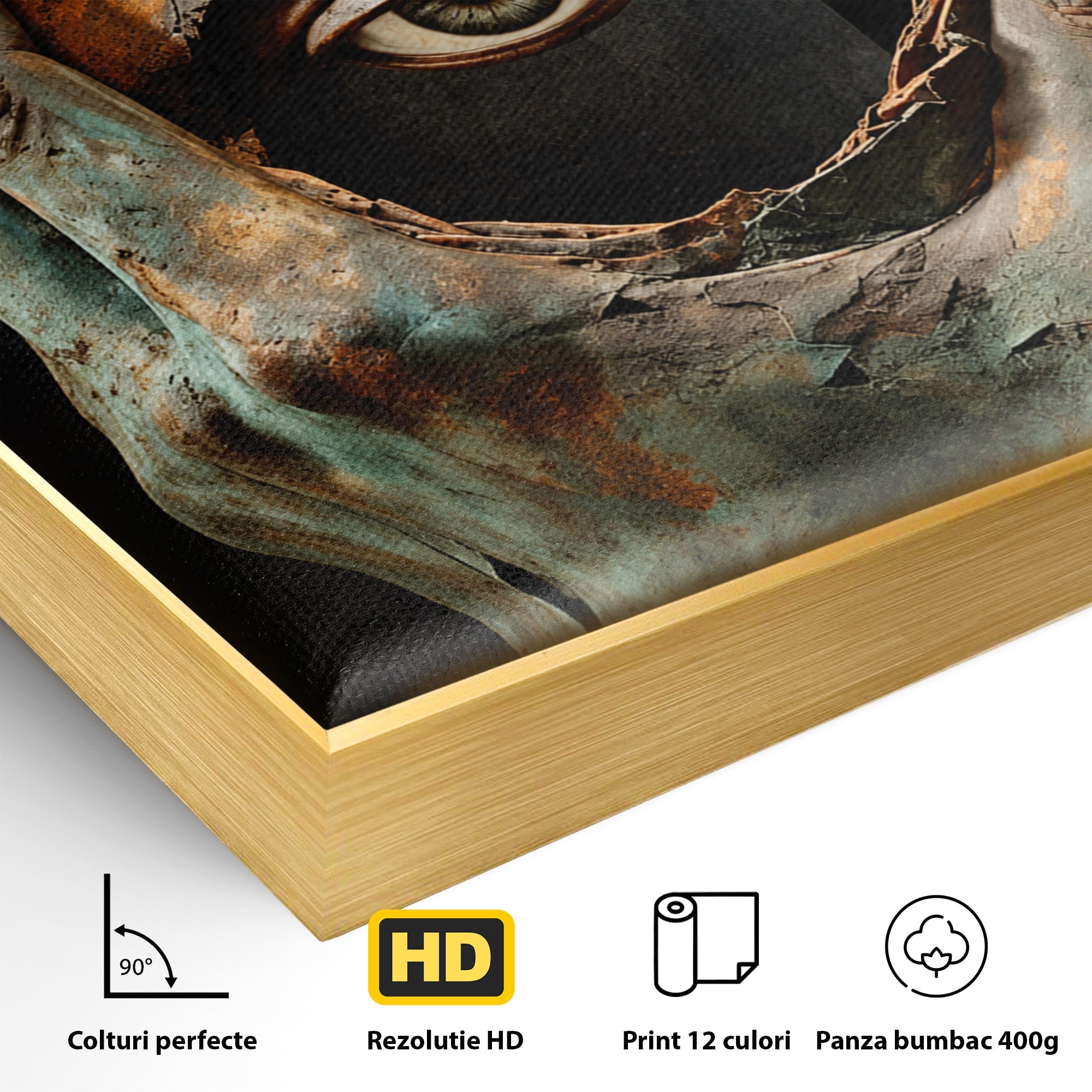 Tablou Canvas Premium LuxCanva® U1062, Privirea Misterioasa, Ochi, Mister, Abstract, Arta, Birou, Culori Vibrante