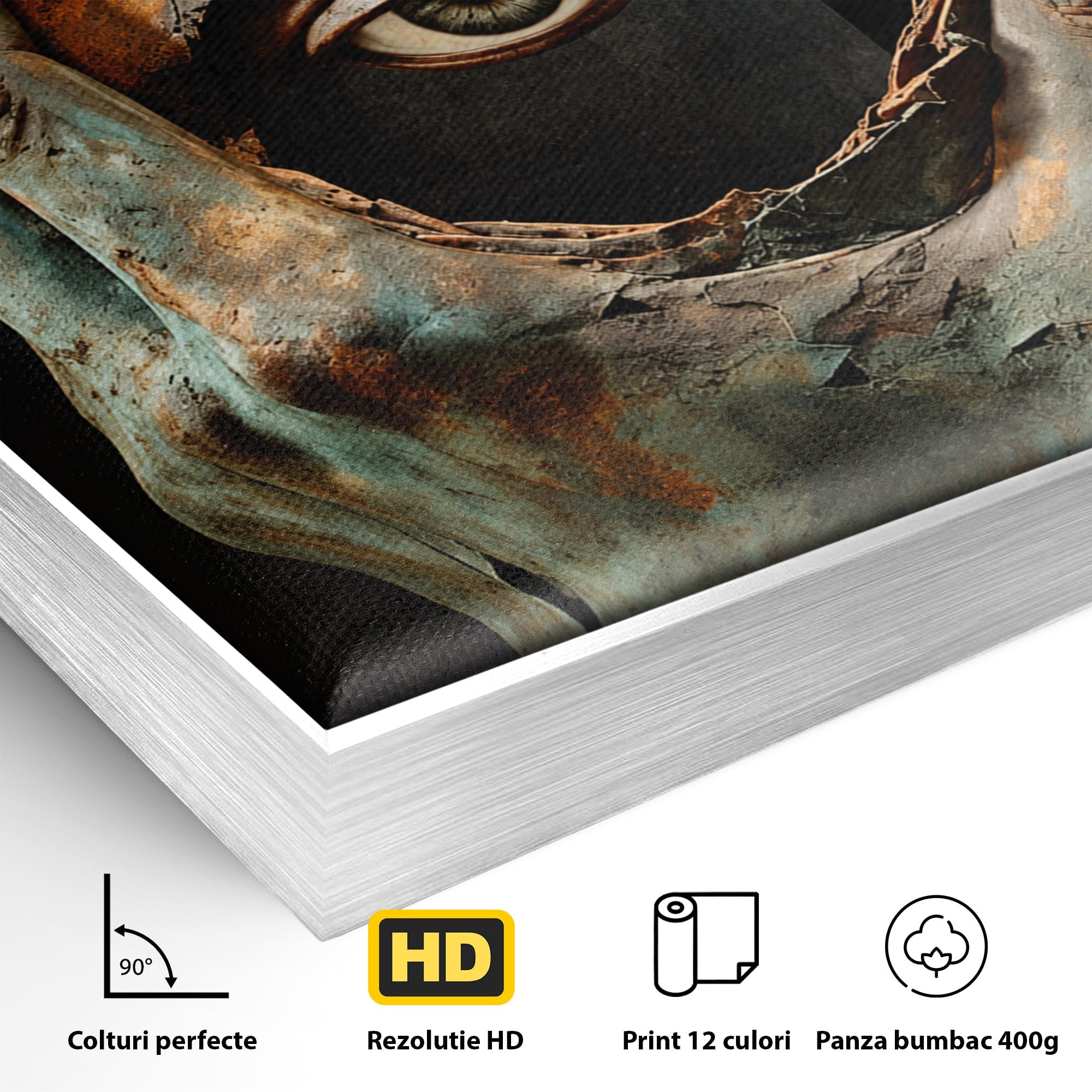 Tablou Canvas Premium LuxCanva® U1062, Privirea Misterioasa, Ochi, Mister, Abstract, Arta, Birou, Culori Vibrante