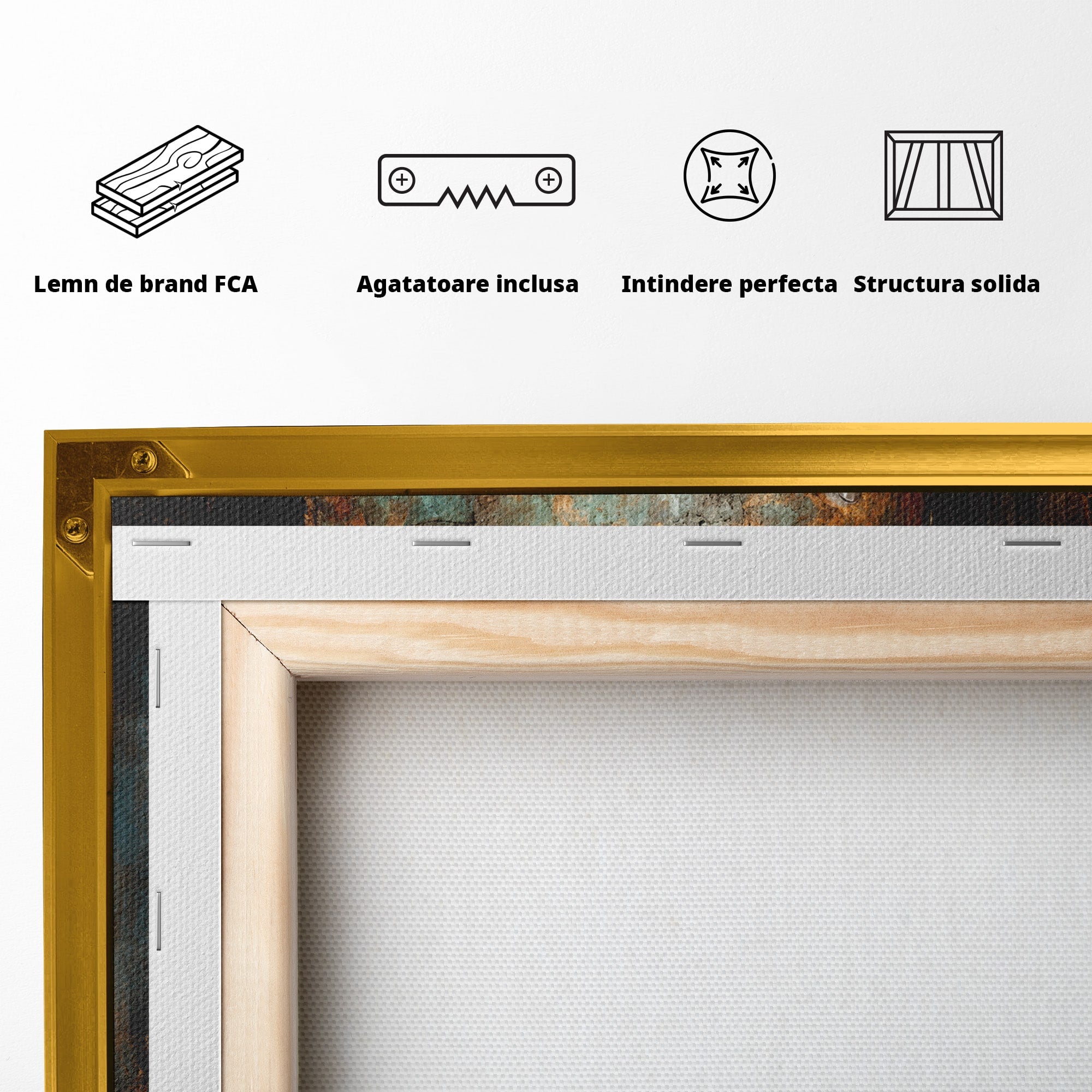 Tablou Canvas Premium LuxCanva® U1062, Privirea Misterioasa, Ochi, Mister, Abstract, Arta, Birou, Culori Vibrante