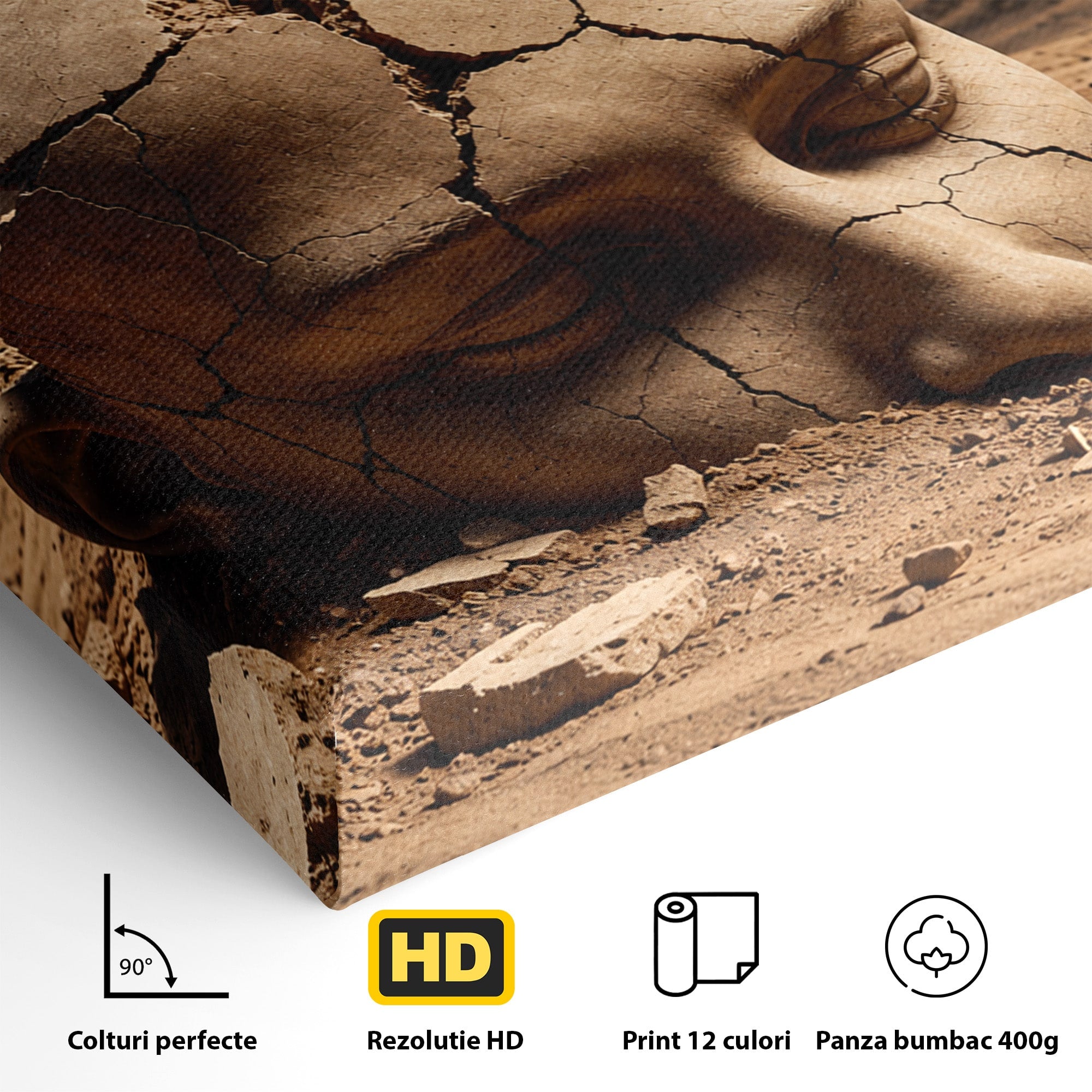 Tablou Canvas Premium LuxCanva® U1065, Capul In Desert, Fluture, Surrealism, Cap, Desert, Dormitor, Culori Vibrante