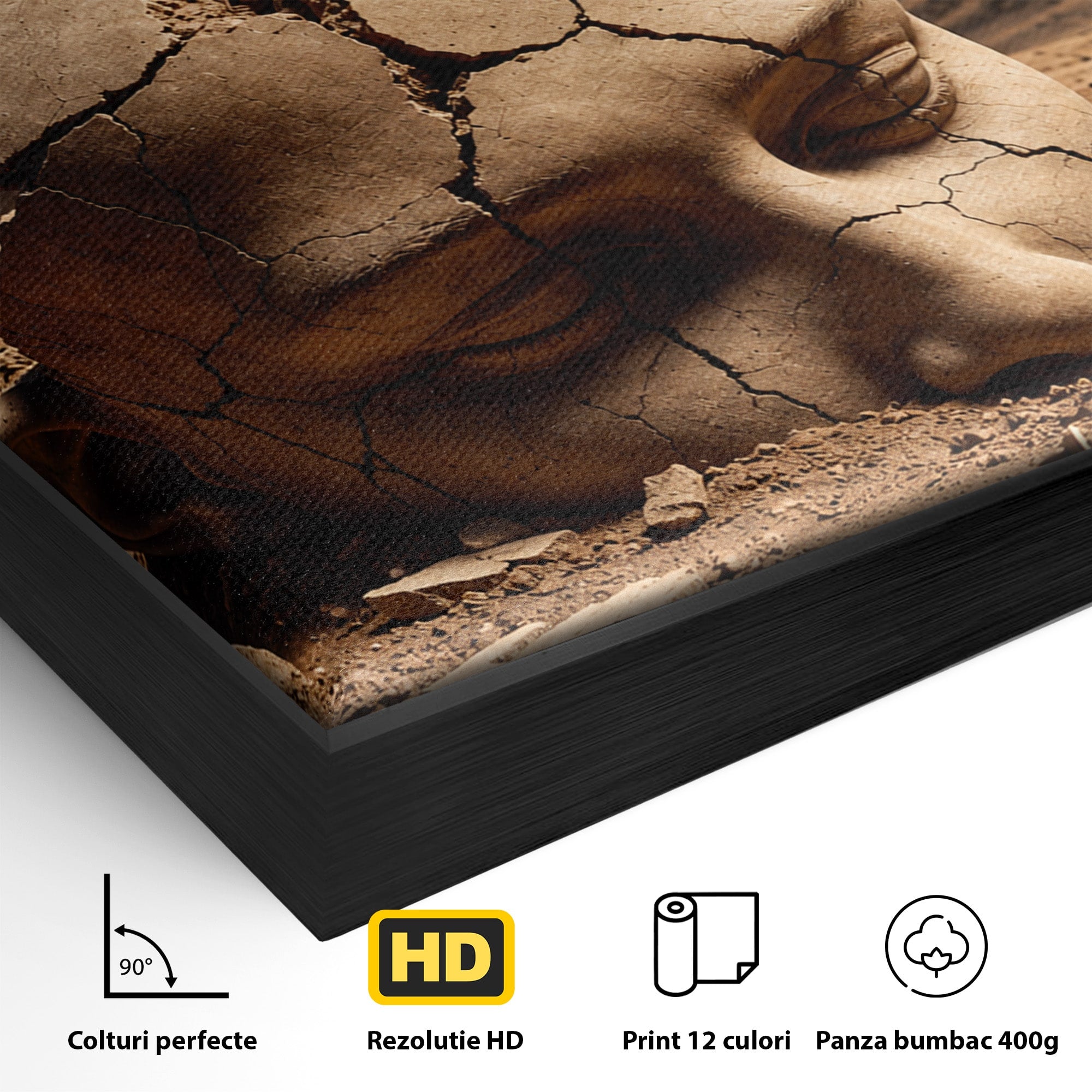 Tablou Canvas Premium LuxCanva® U1065, Capul In Desert, Fluture, Surrealism, Cap, Desert, Dormitor, Culori Vibrante