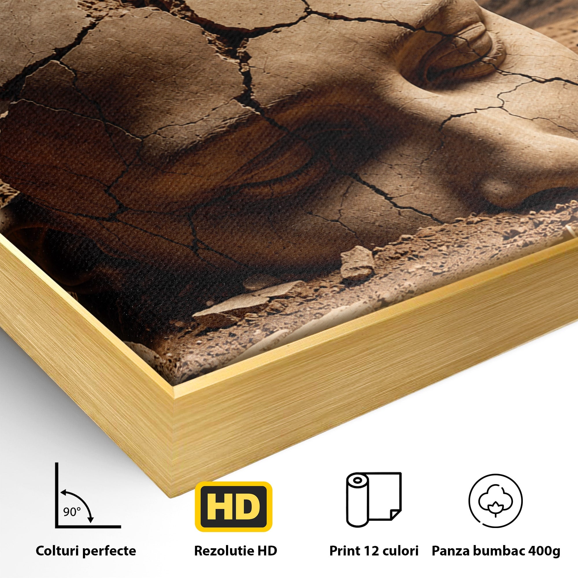 Tablou Canvas Premium LuxCanva® U1065, Capul In Desert, Fluture, Surrealism, Cap, Desert, Dormitor, Culori Vibrante