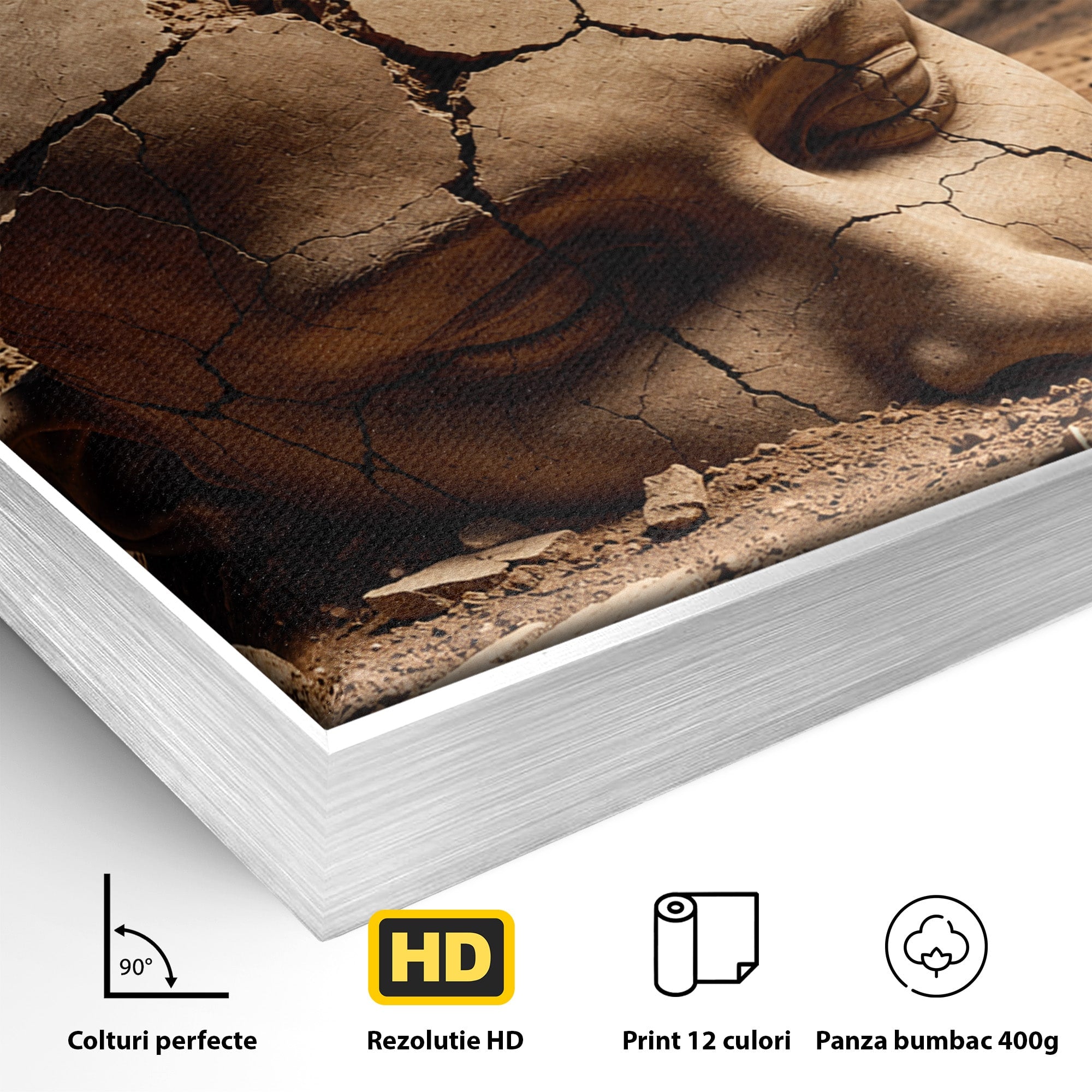 Tablou Canvas Premium LuxCanva® U1065, Capul In Desert, Fluture, Surrealism, Cap, Desert, Dormitor, Culori Vibrante