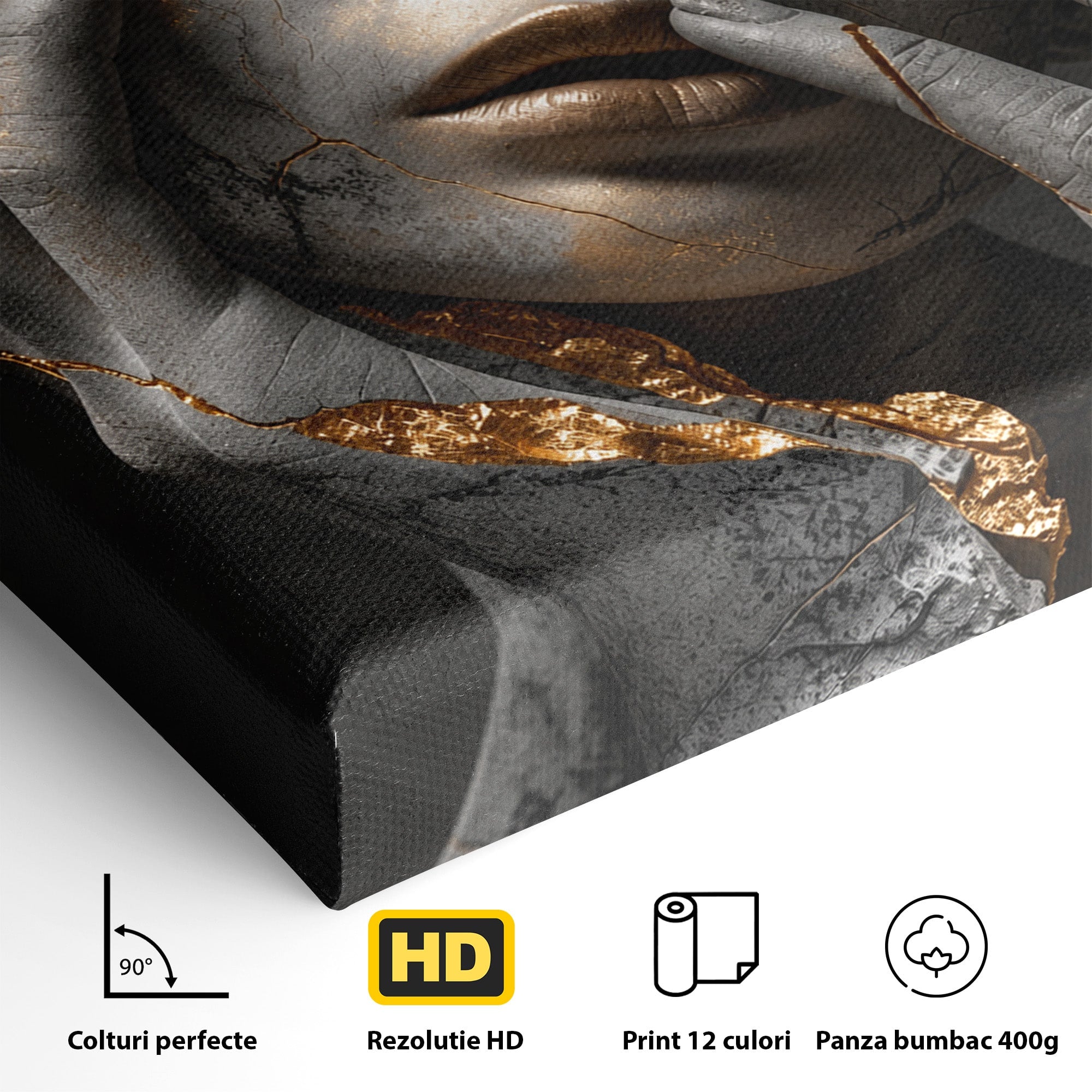 Tablou Canvas Premium LuxCanva® U1066, Frumusetea Imperfectiunii, Portret, Arta, Abstract, Emotie, Dormitor, Culori Vibrante