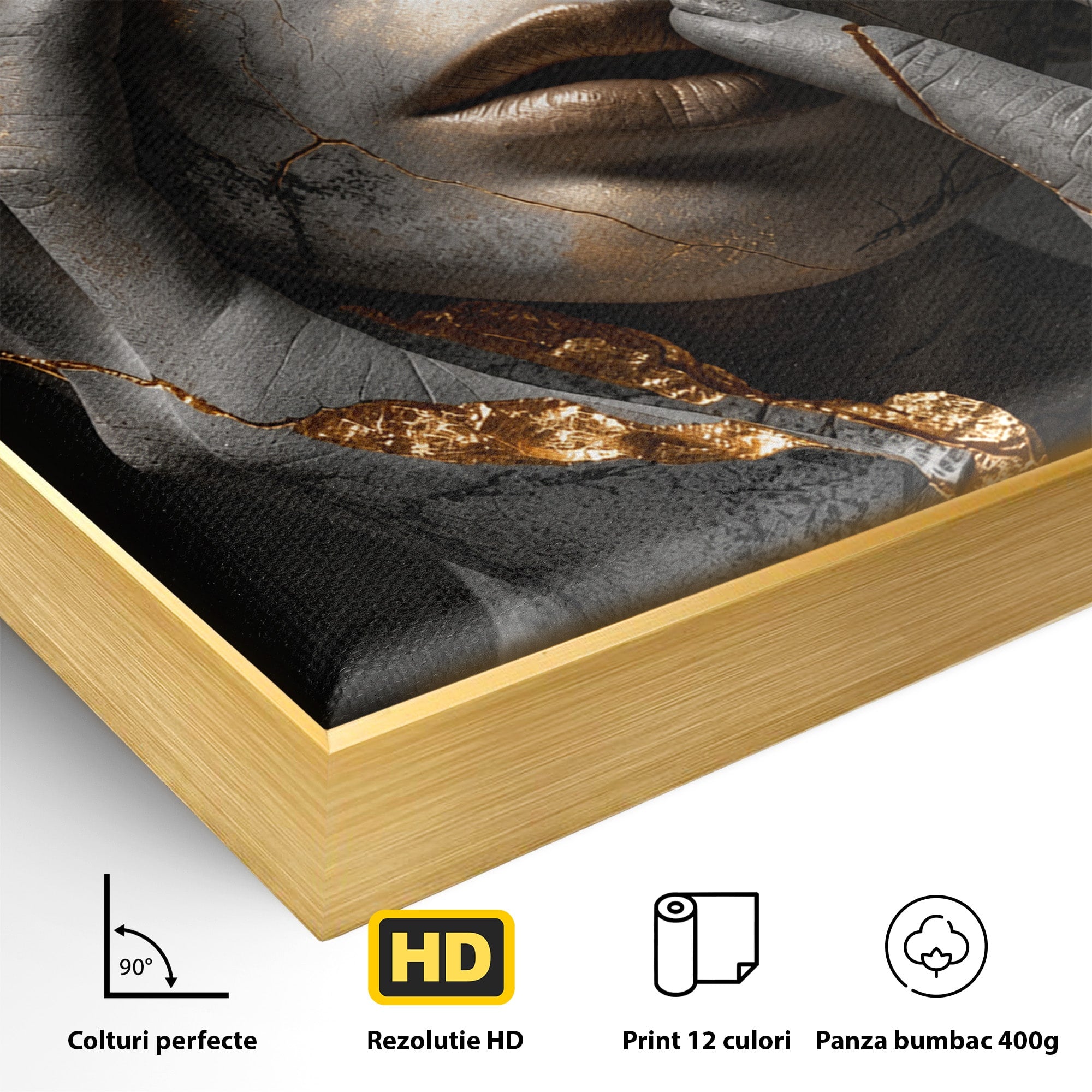 Tablou Canvas Premium LuxCanva® U1066, Frumusetea Imperfectiunii, Portret, Arta, Abstract, Emotie, Dormitor, Culori Vibrante