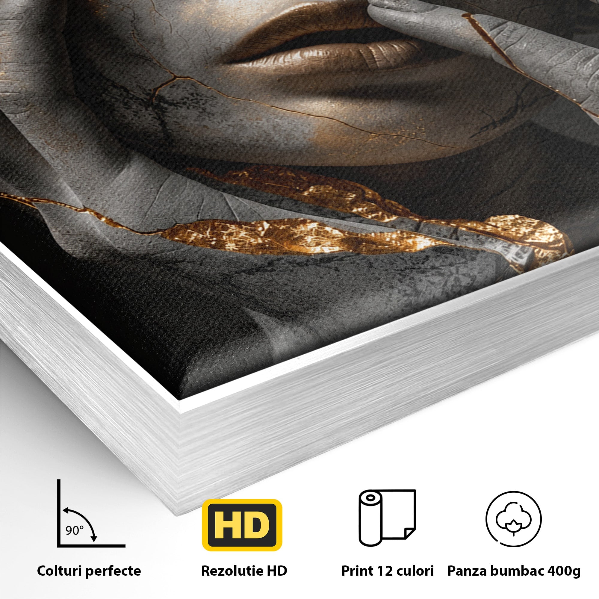 Tablou Canvas Premium LuxCanva® U1066, Frumusetea Imperfectiunii, Portret, Arta, Abstract, Emotie, Dormitor, Culori Vibrante