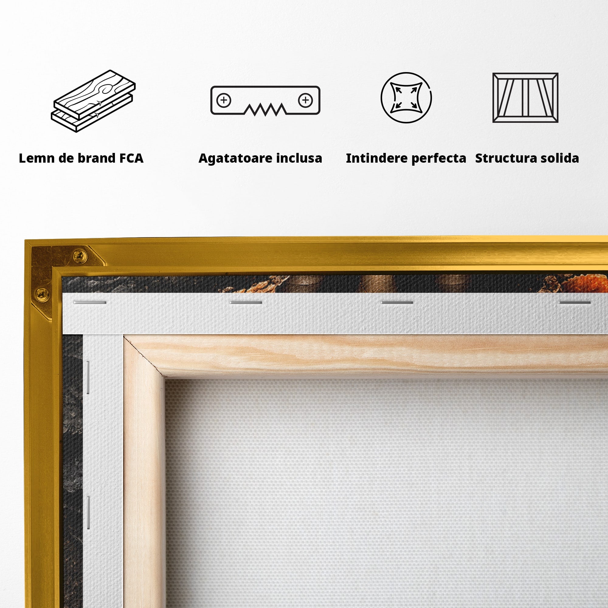 Tablou Canvas Premium LuxCanva® U1070, Femeie Renascuta Din Lava, Renastere, Chip, Femeie, Dormitor, Living, Culori Vibrante