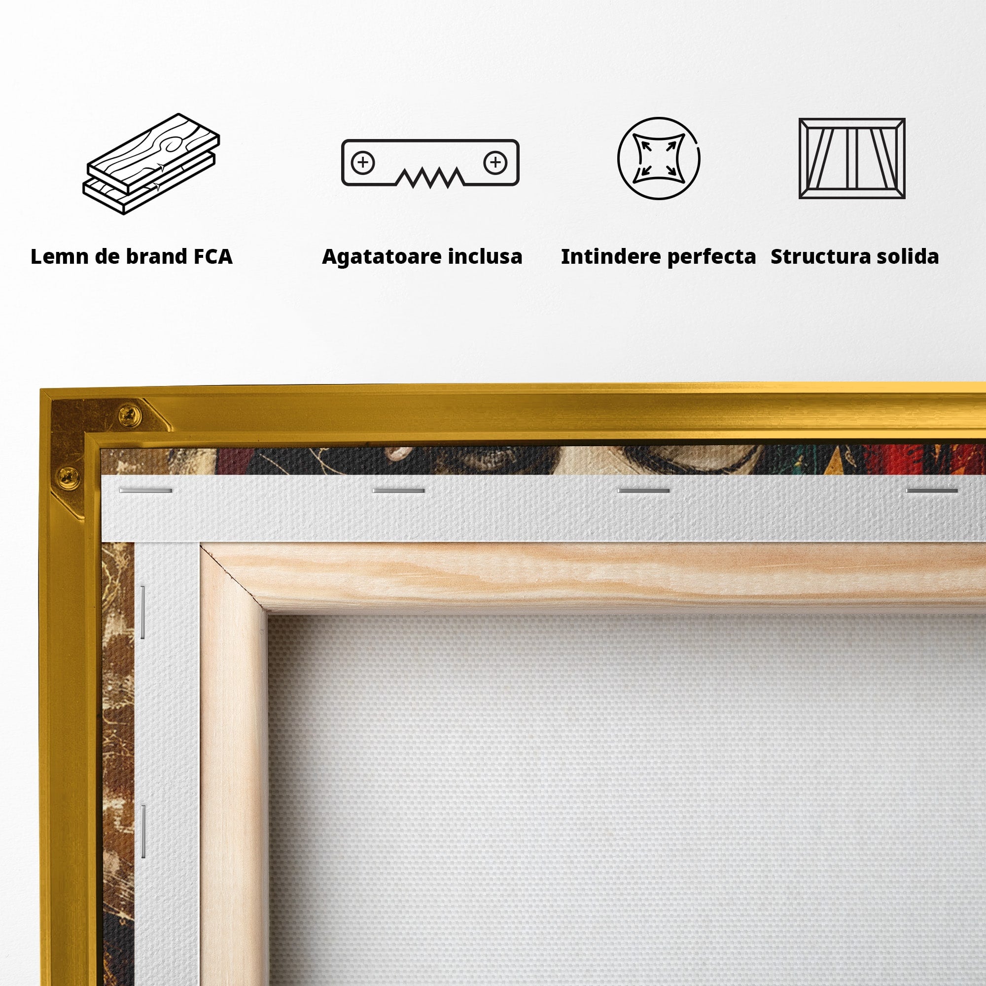 Tablou Canvas Premium LuxCanva® U1074, Misterul Privirii Cu Esarfa, Portret, Femeie, Esarfa, Arta, Dormitor, Culori Vibrante